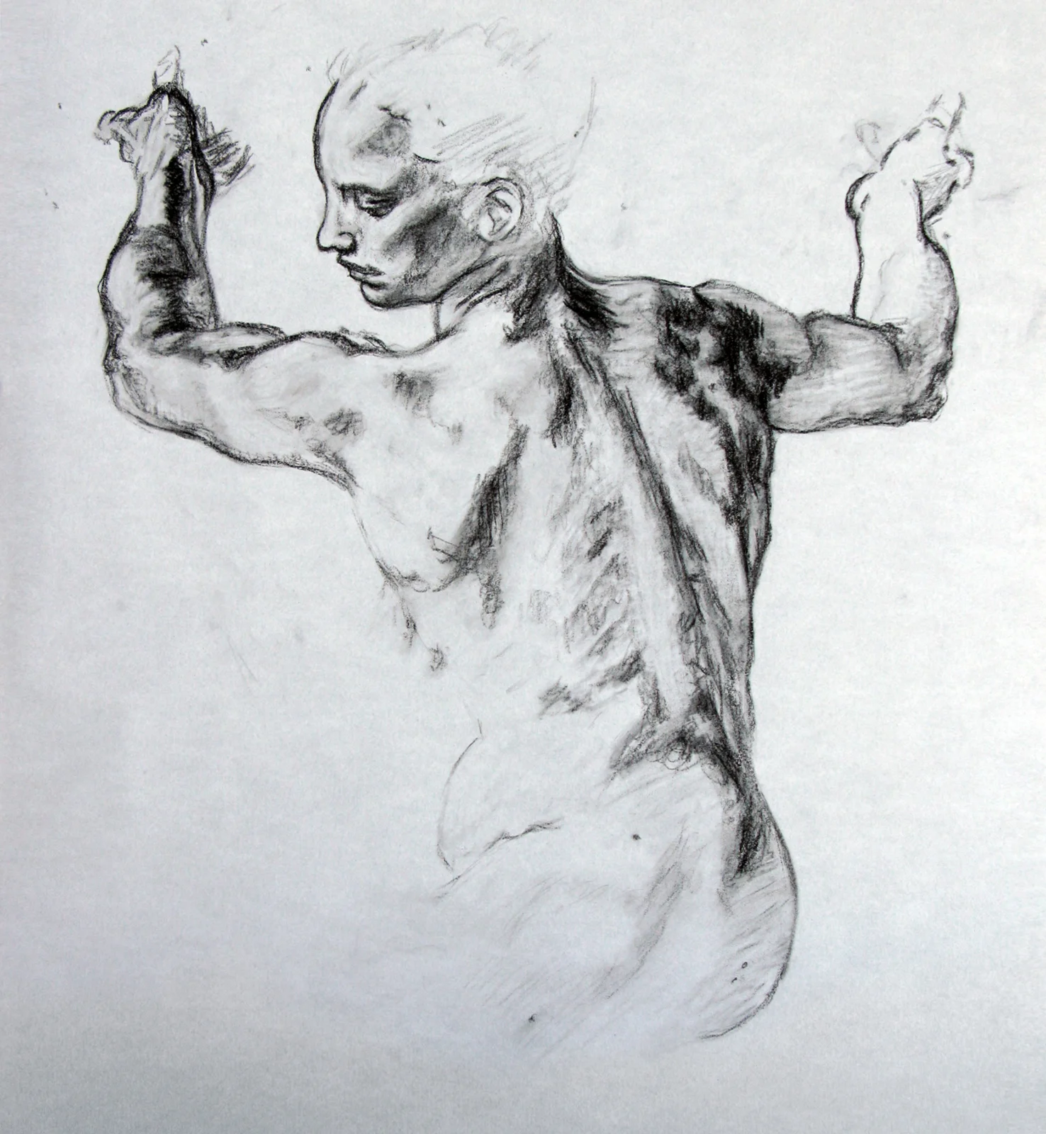 2008_fd_mod7_masterstudy.jpg