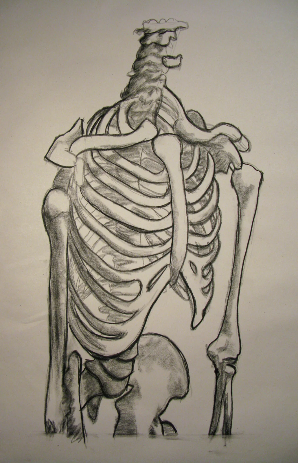 2008_ia_mod2_rib.jpg