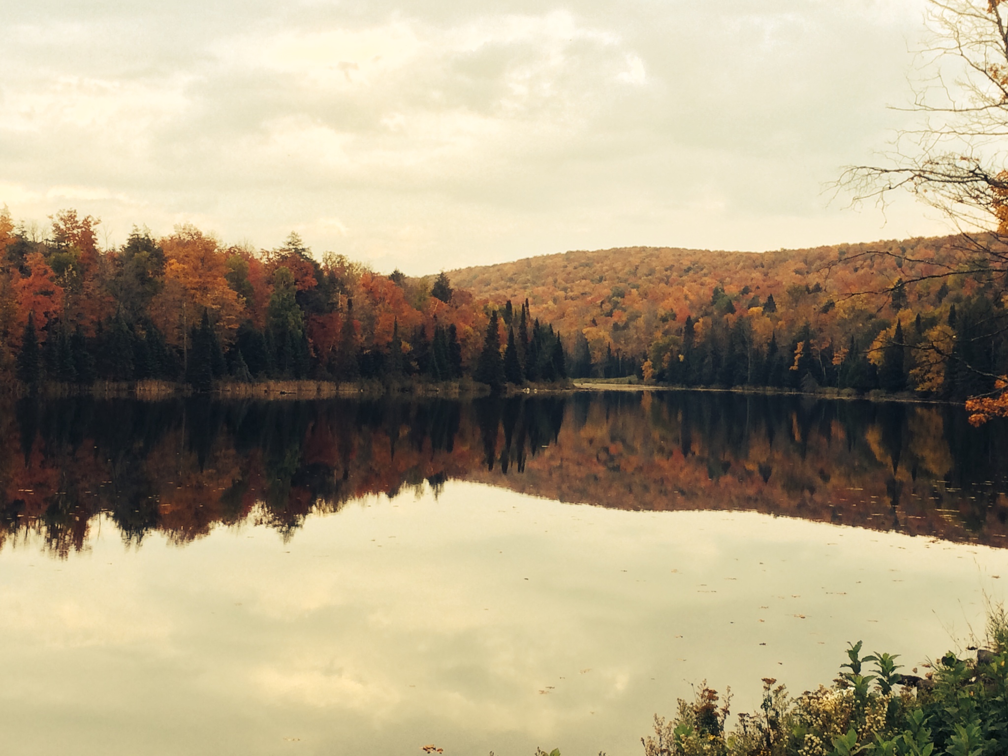 fall colors over lake.jpg