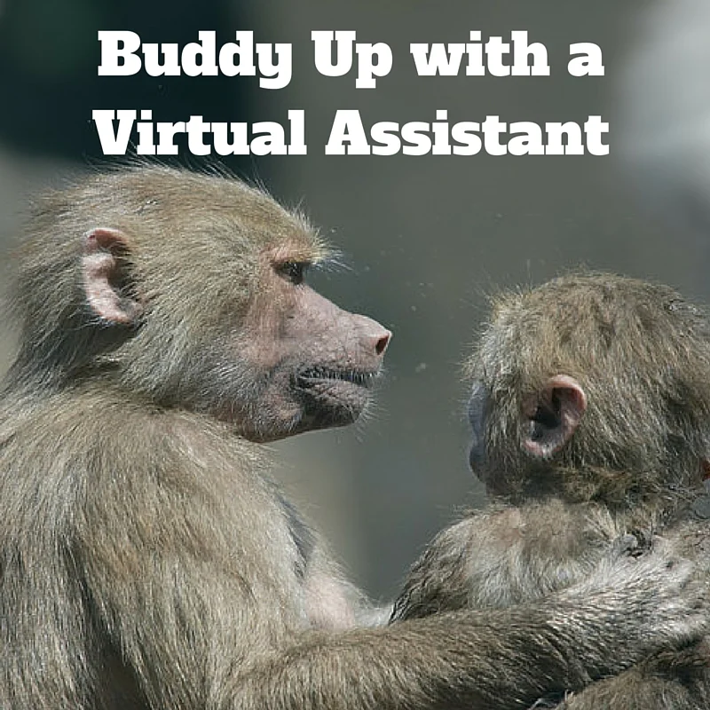 buddy up