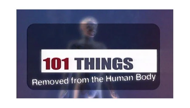 101Things.jpg