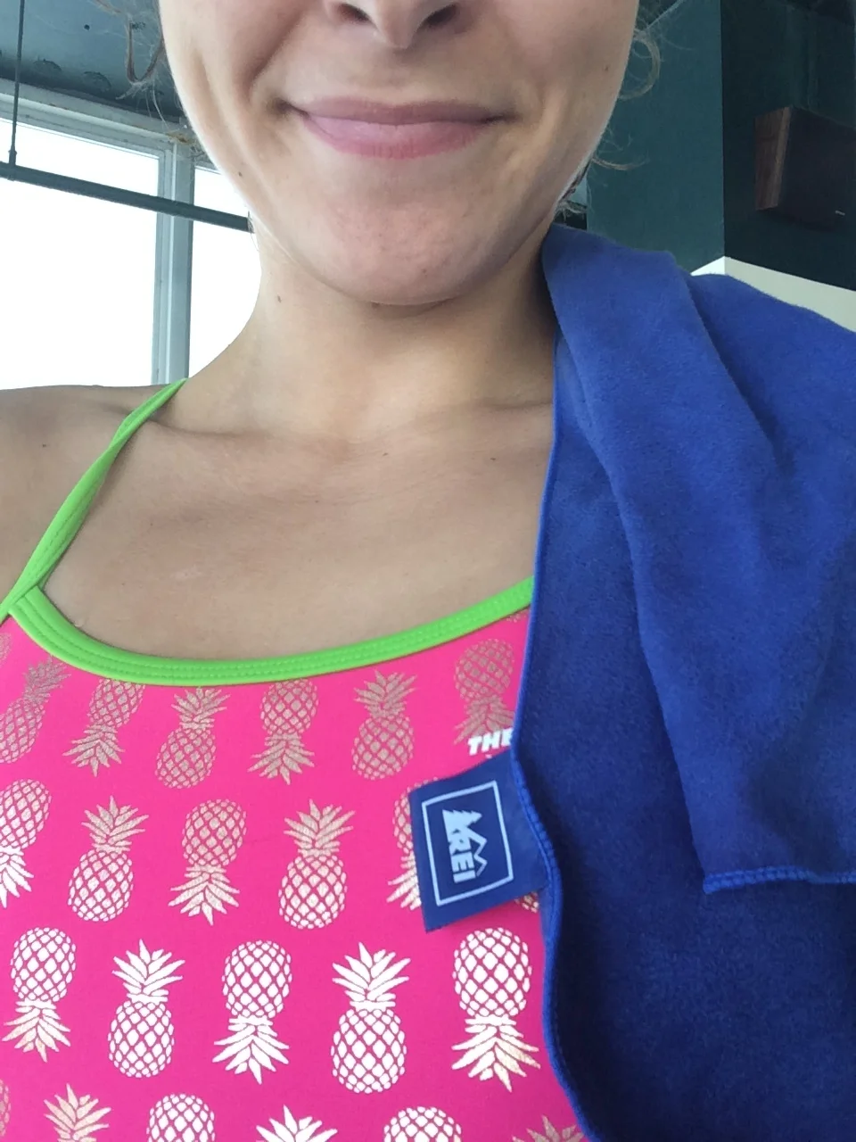 A Shammy Or a Quick Dry Towel