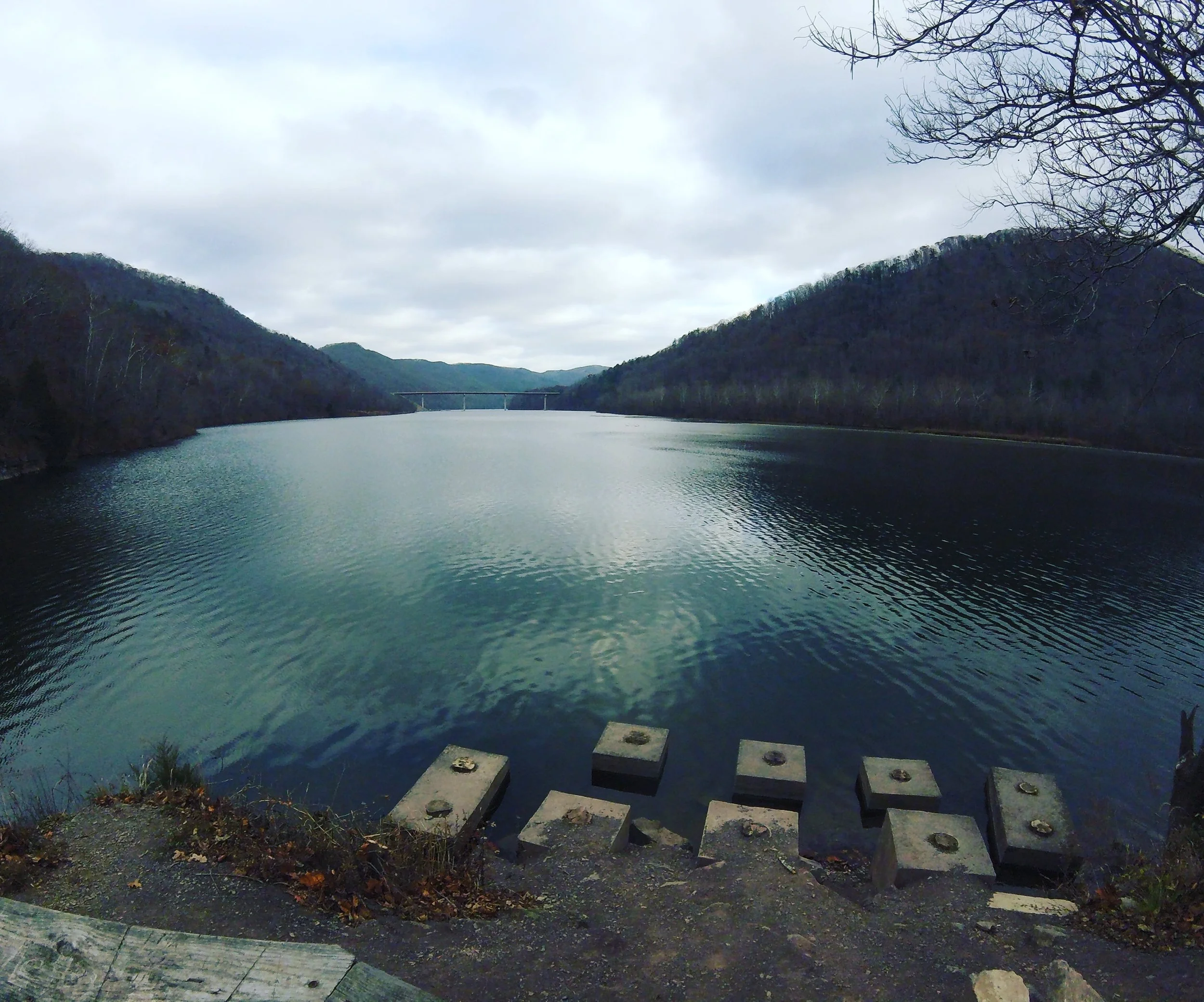 Am I Ready for an Open Water Swim ?