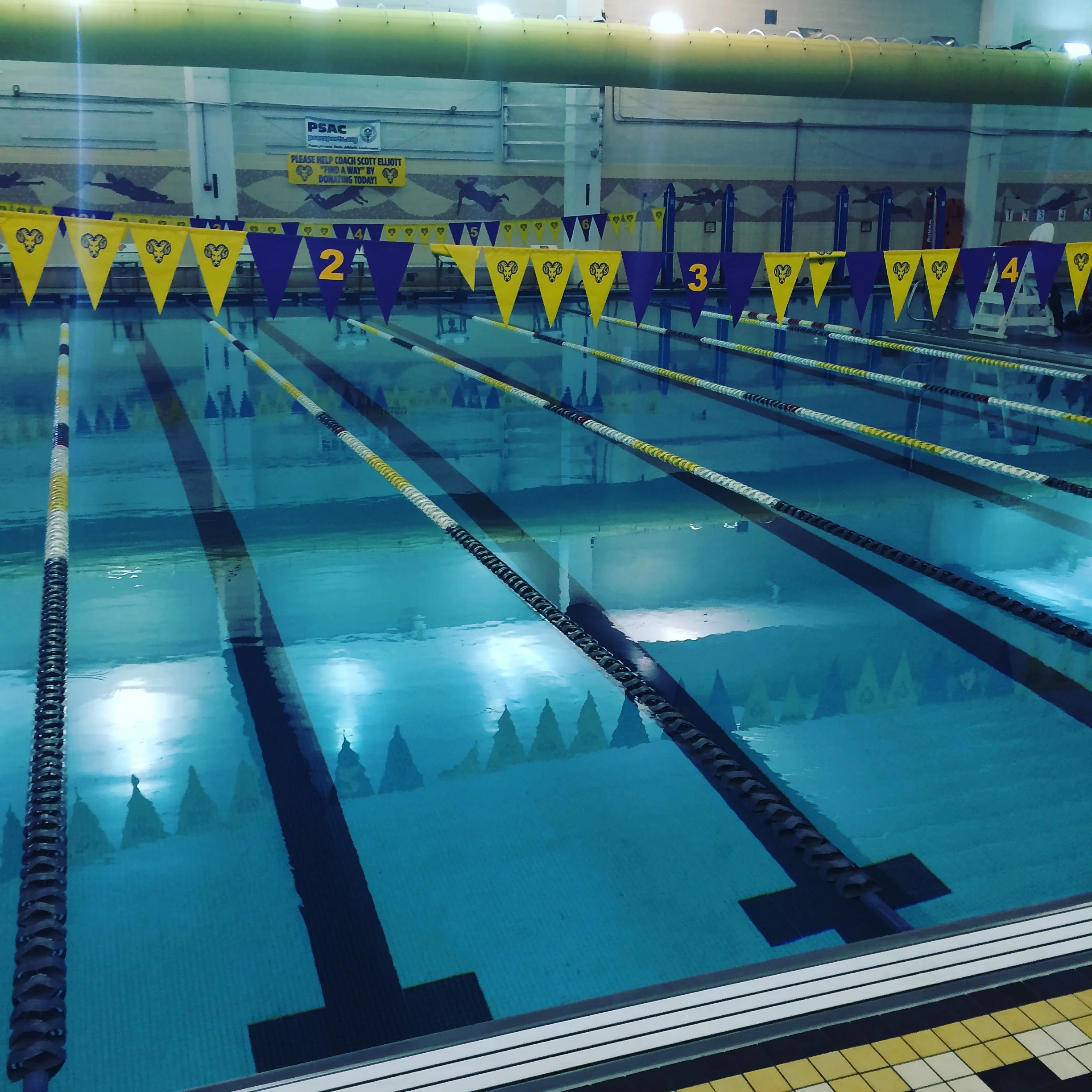 Brand New to the Pool!