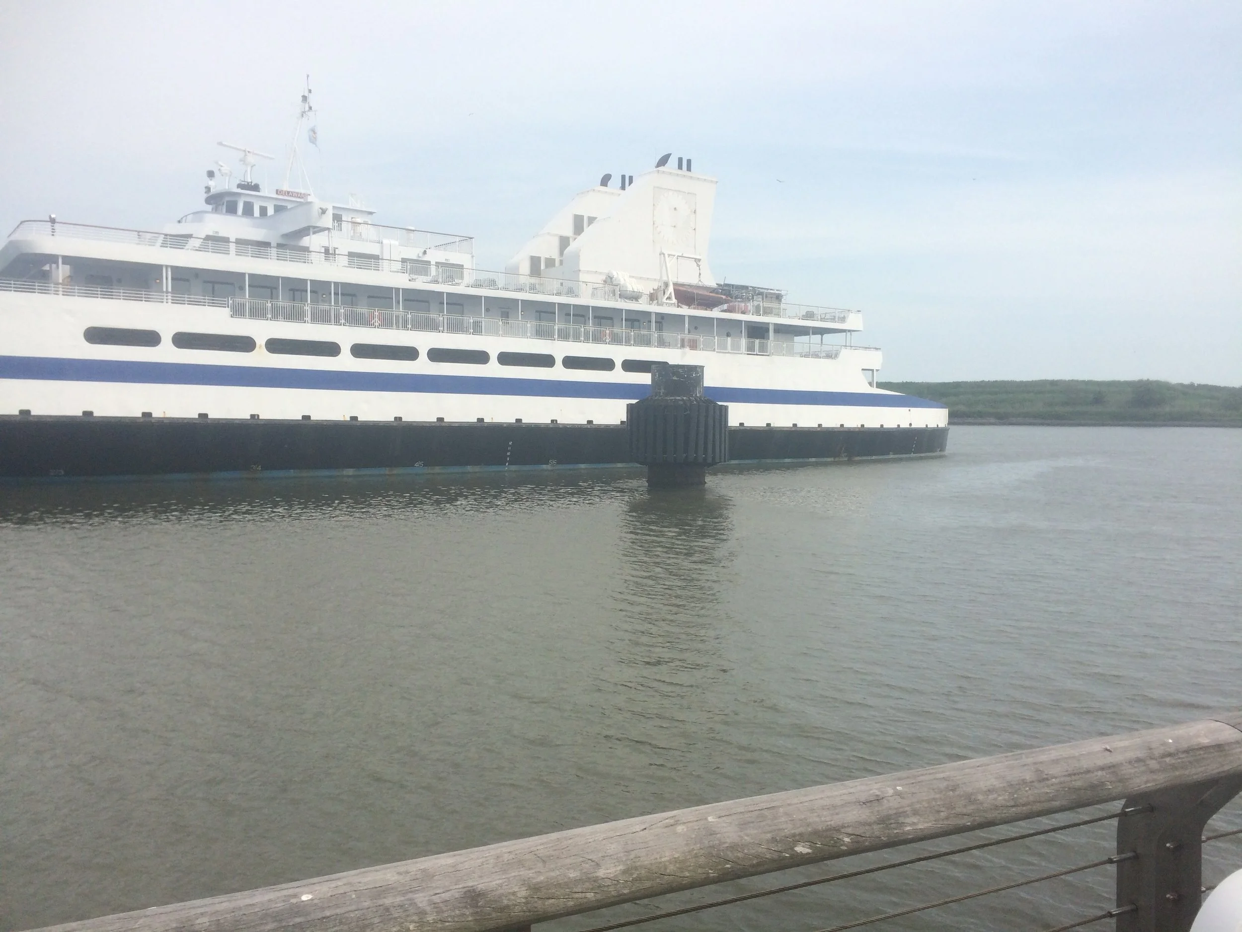 Open Water Swimming: Race Day