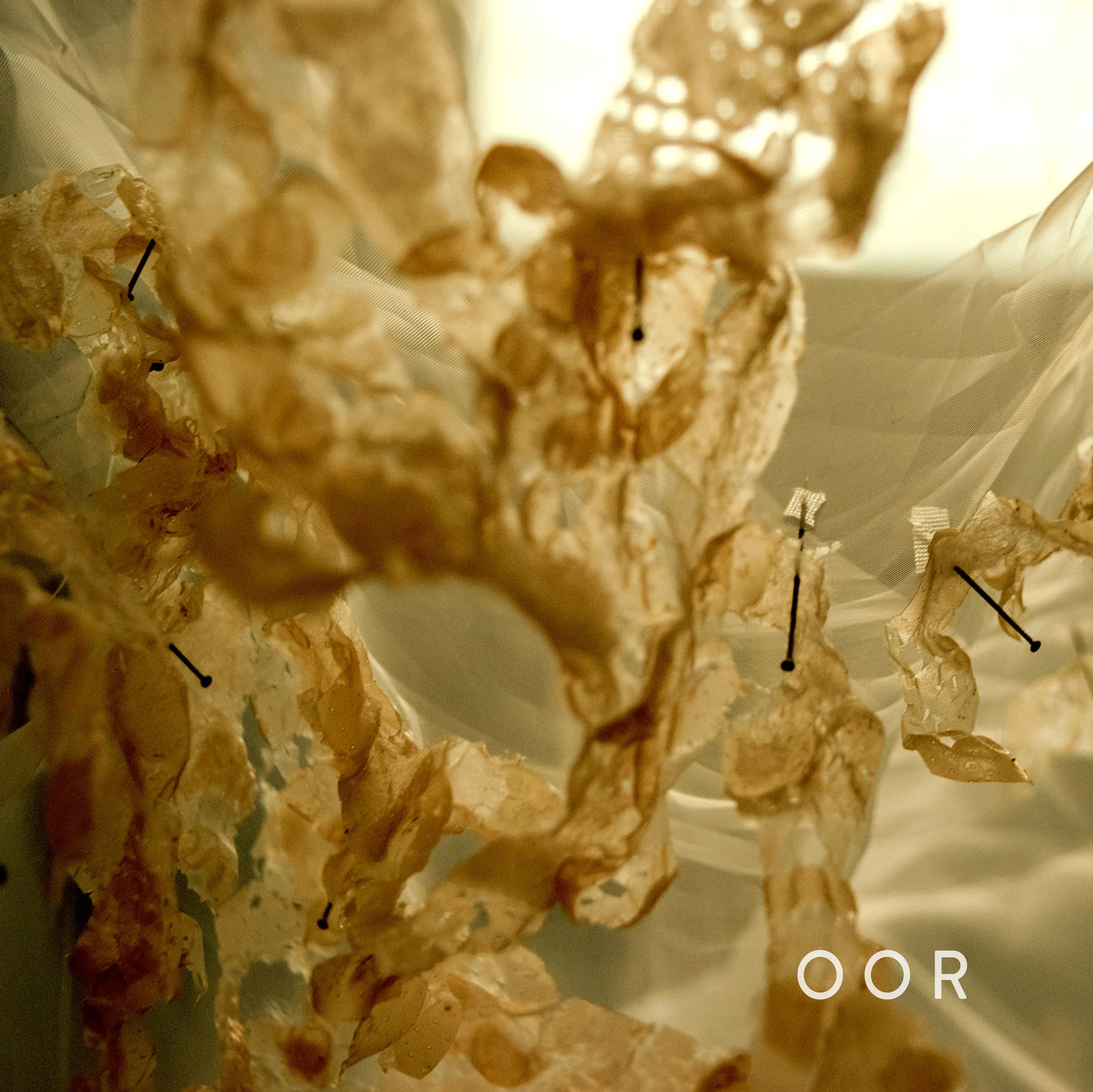 Oor Cover Image.jpeg