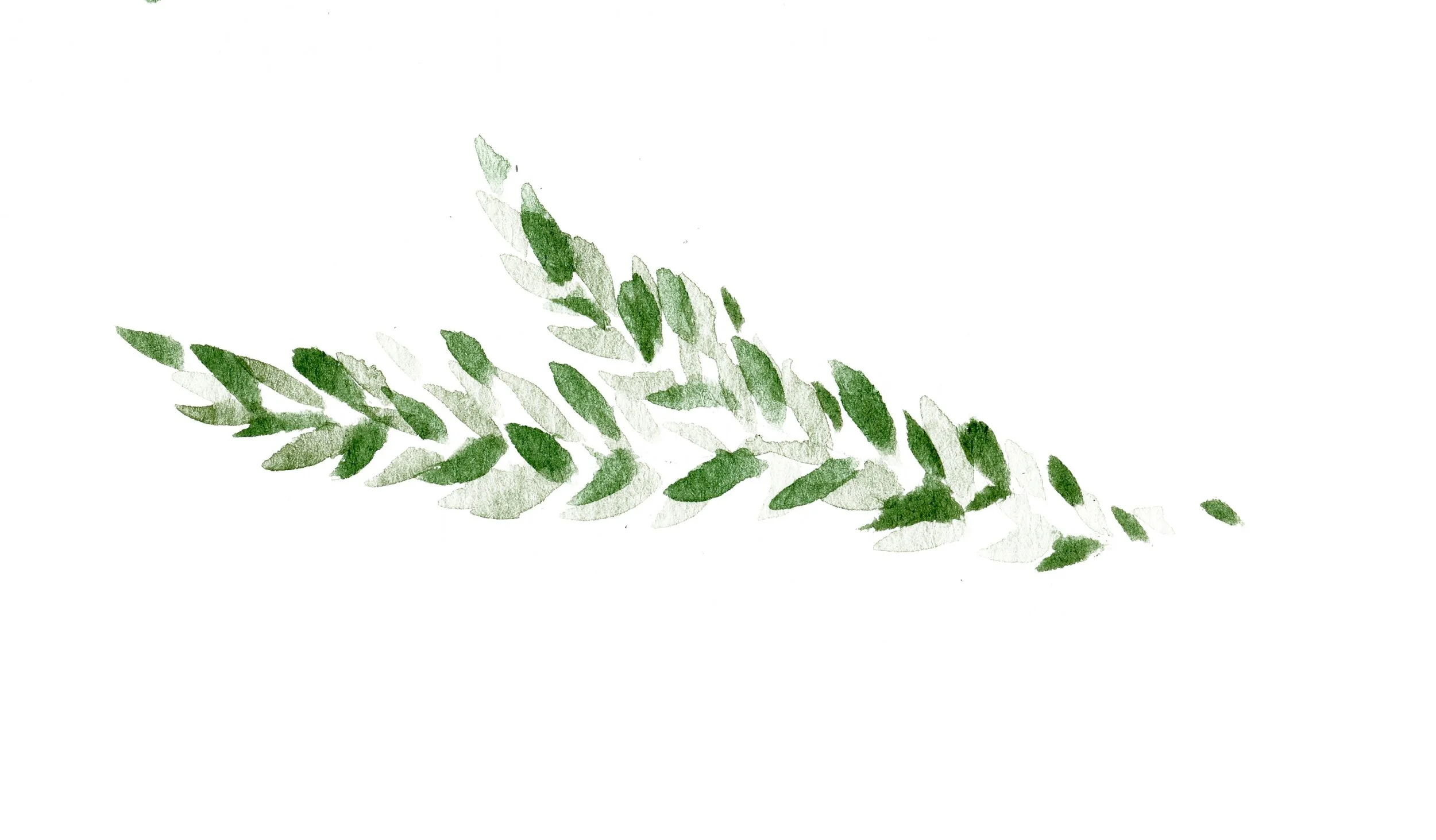 twig.jpg