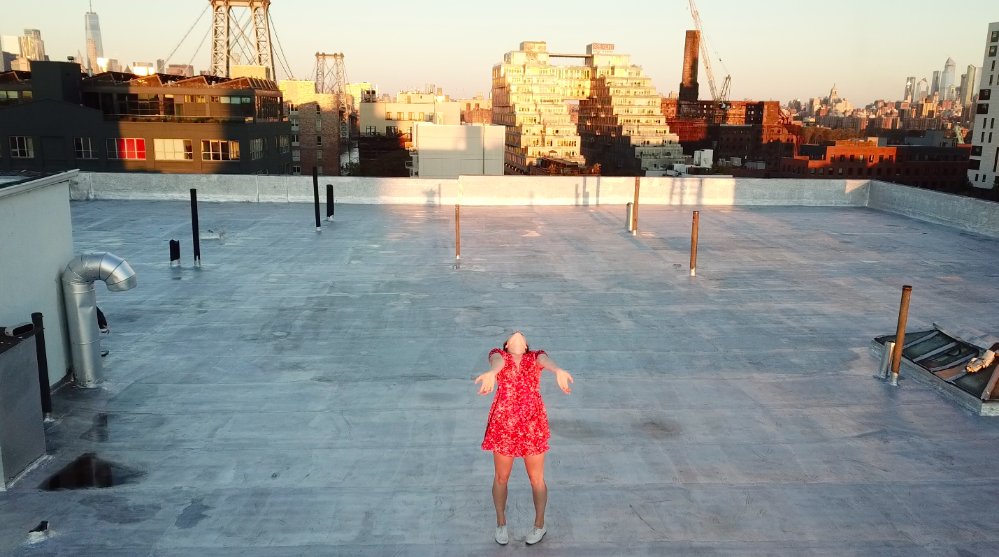 KatyRoof.png