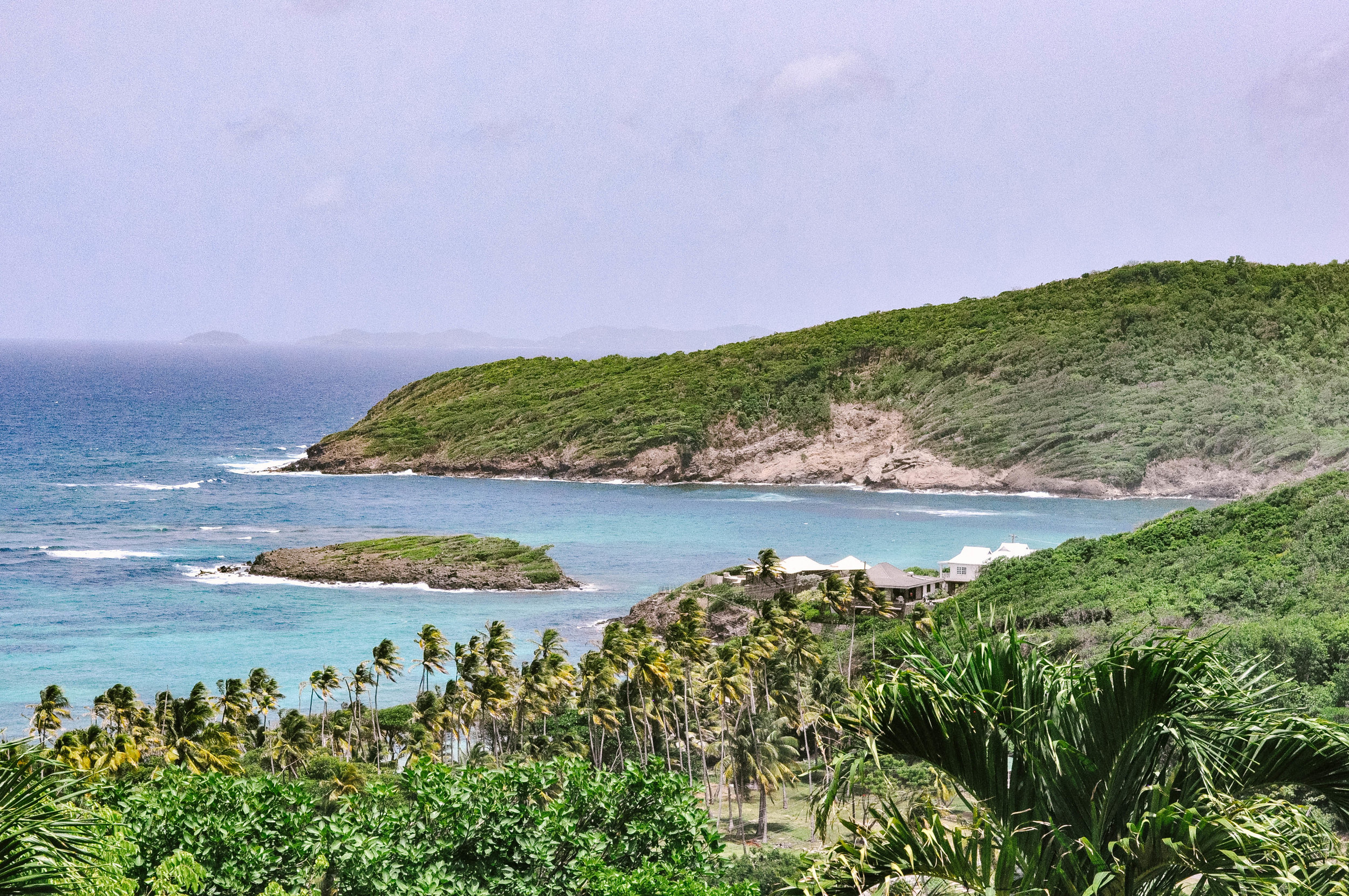 sugar-reef-bequia.jpeg