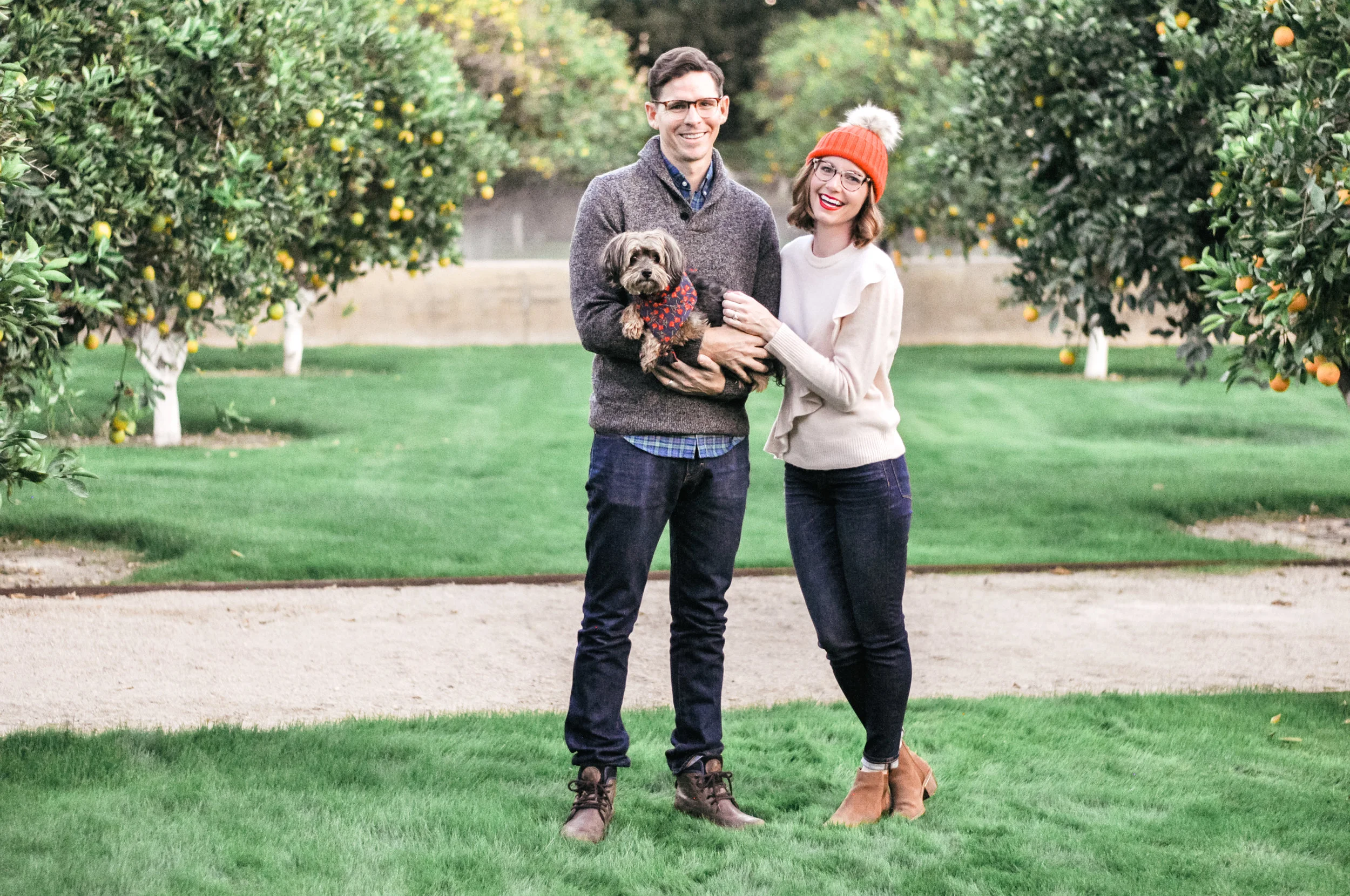dog-holiday-card-ideas.jpg