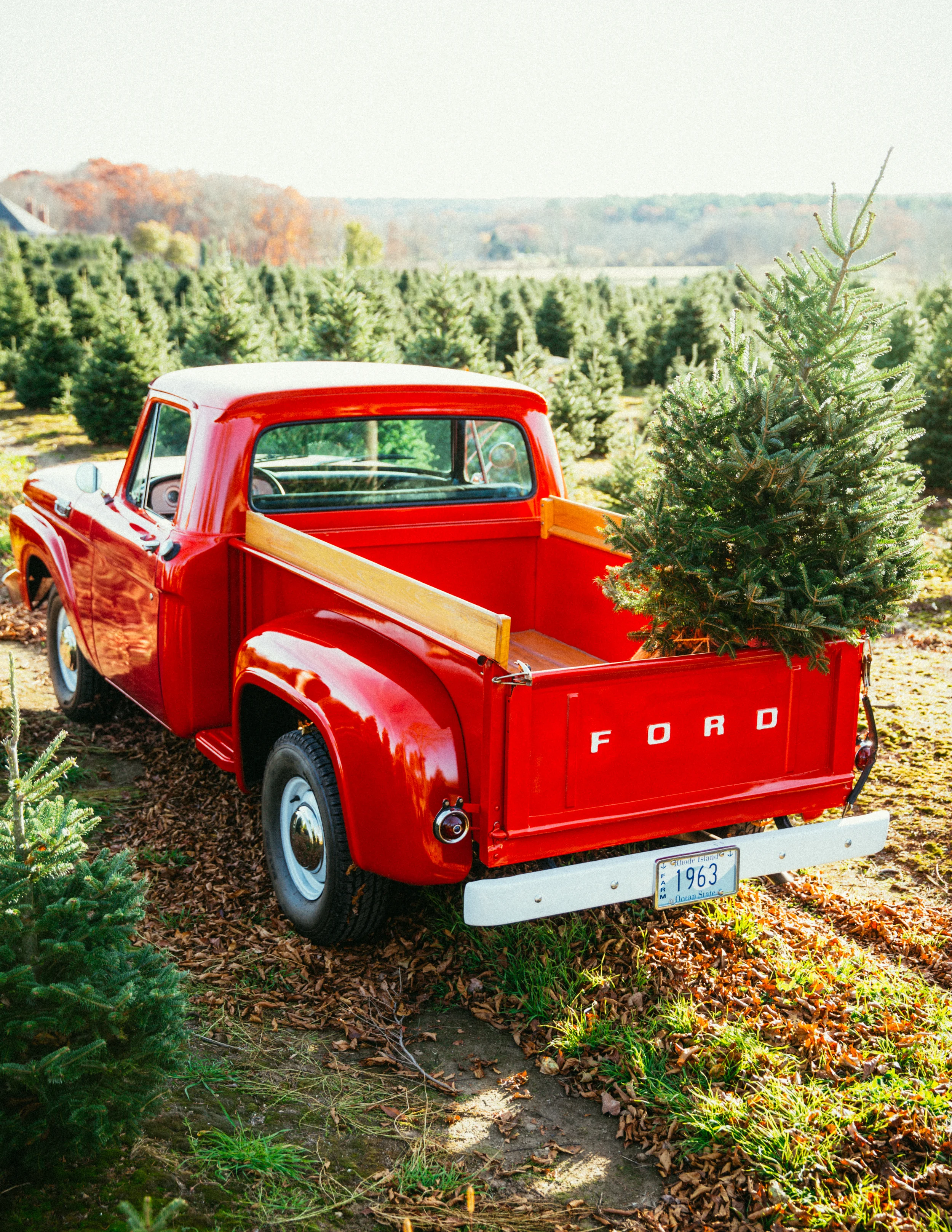 ChristmasTreeTruck.jpg