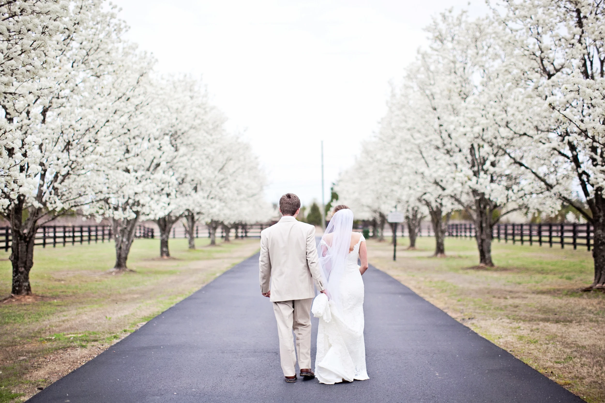 Sarah + Jesse Married