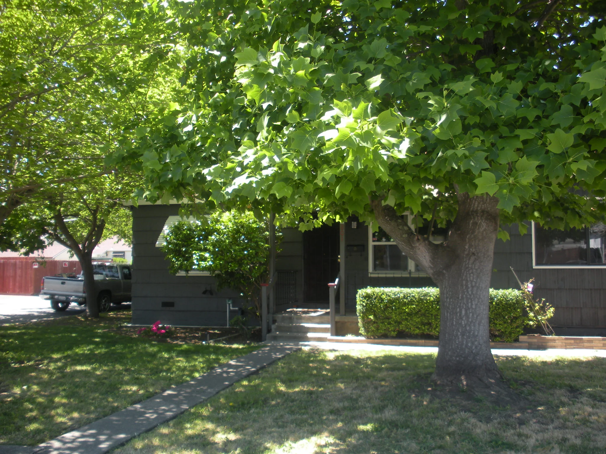 801 Modoc Street 002.JPG