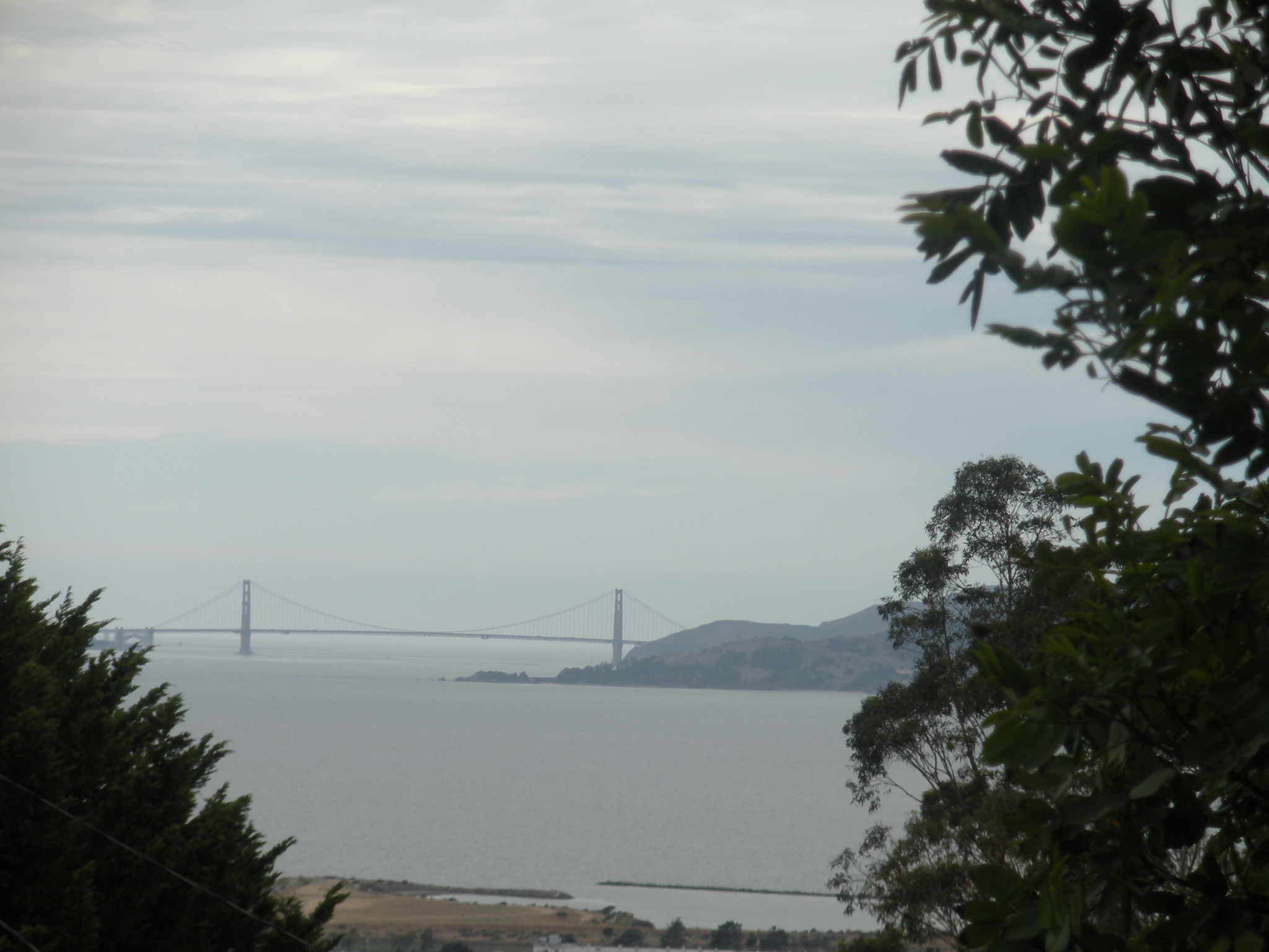 7787 Earl Court 8-4-15 003.JPG