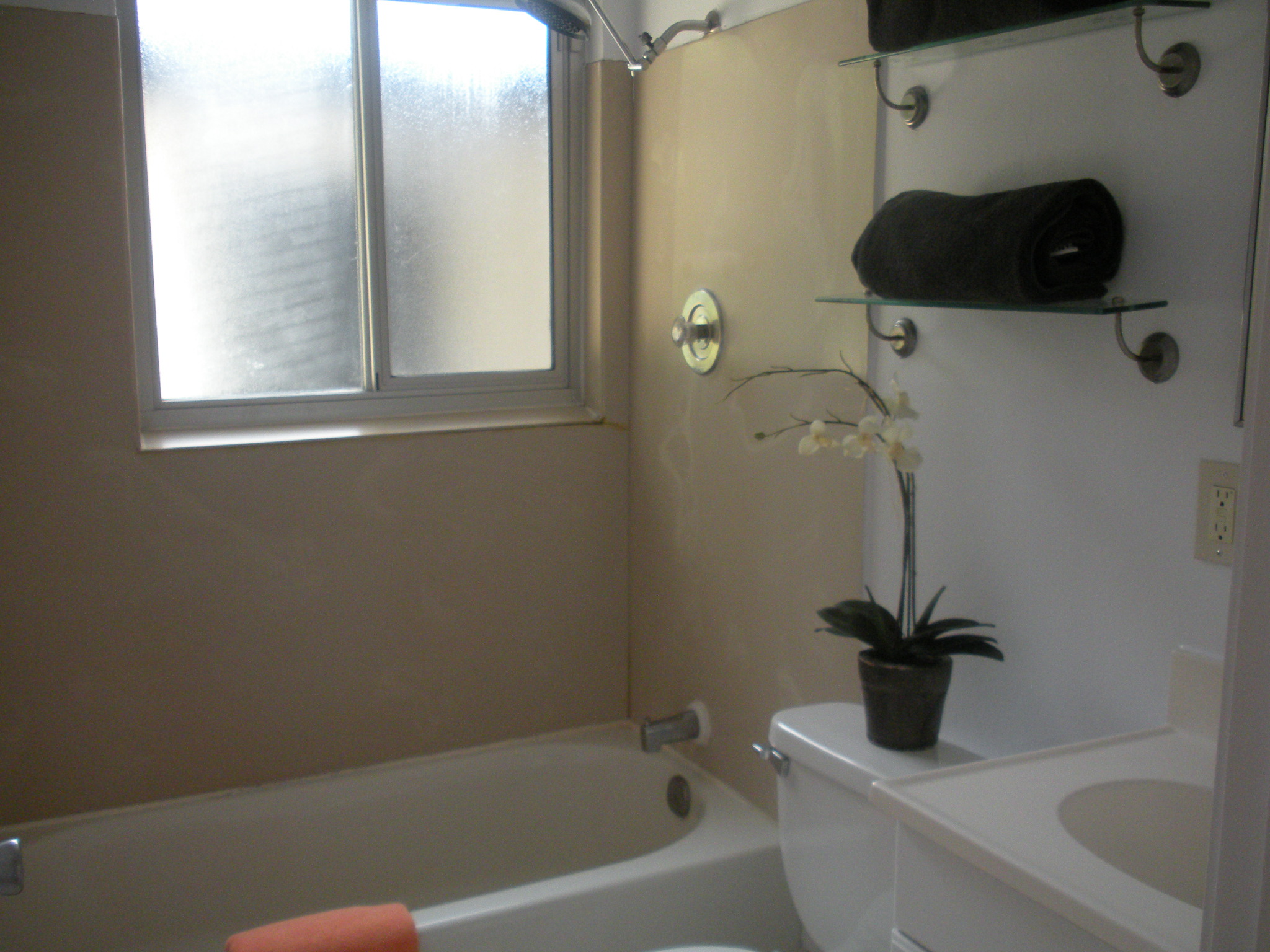 7787 El Cerrito 8-11-15 015.JPG