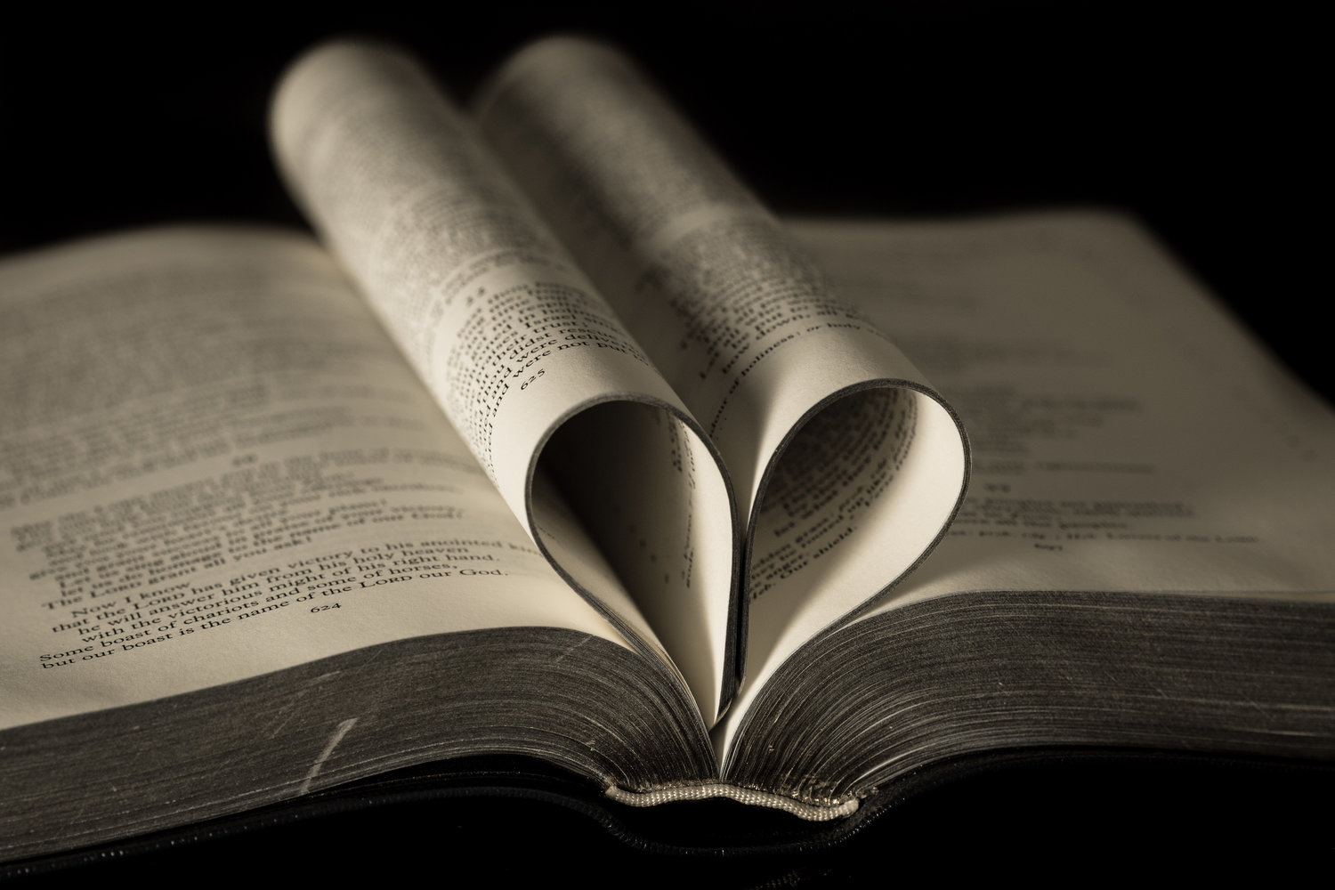 bible.jpg