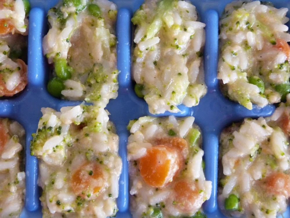 Homemade Baby Food Carrots Nitrates Homemade Baby Food Carrots Nitrates