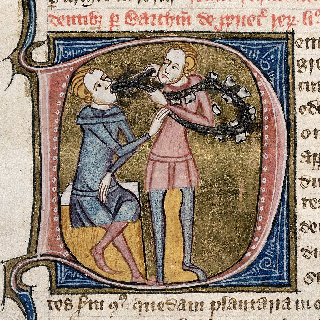 Wikimedia Commons 