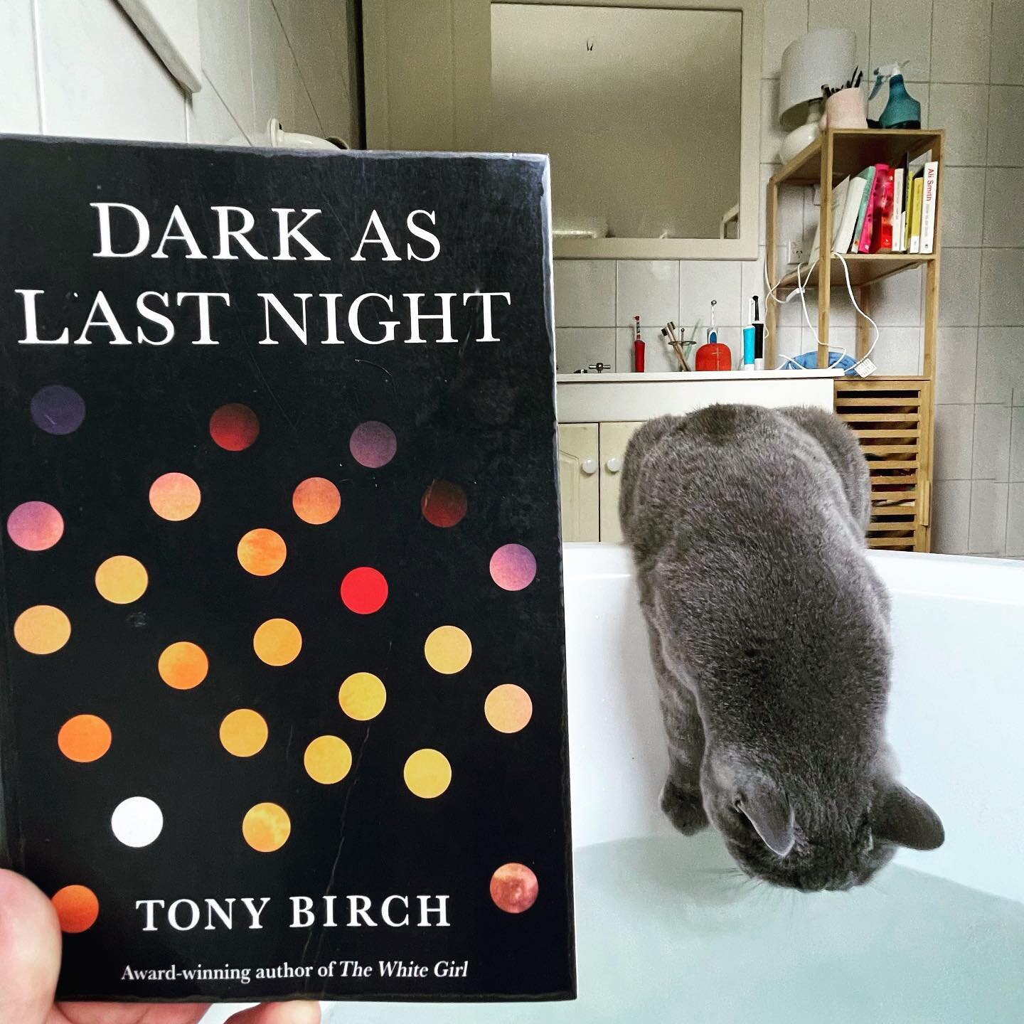 Lapping up these stories.

Dark As Last Night, by Tony Birch @uqpbooks

#shortstories @tony_birch_