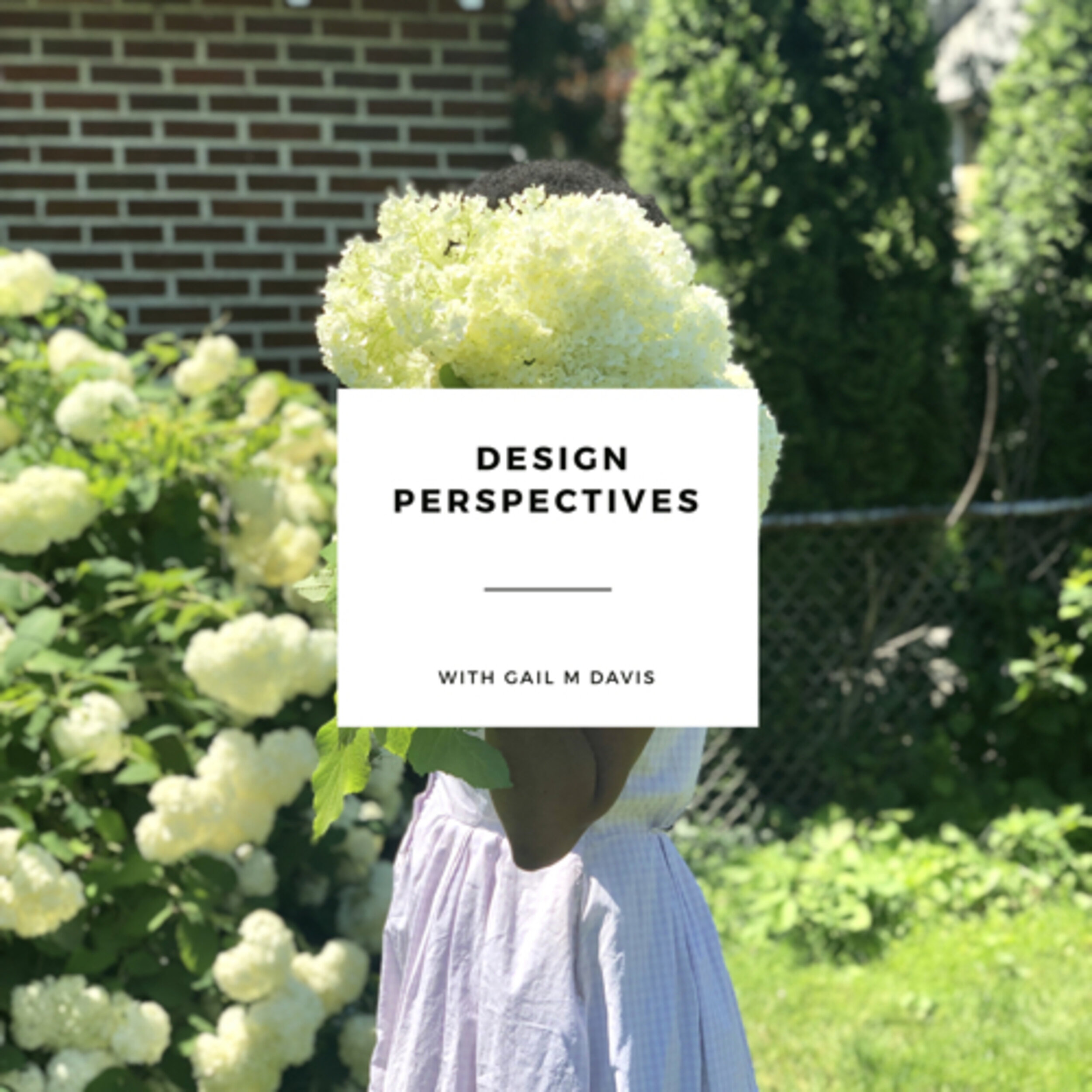 Design Perspectives