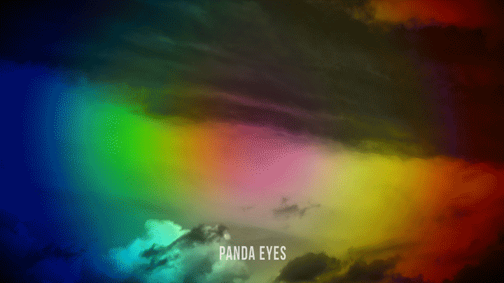 panda2.gif