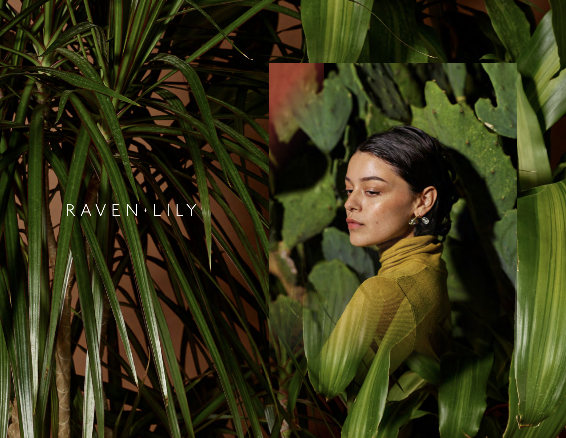 Screenshot 2025-05-31 at 12.02.10 AM.png