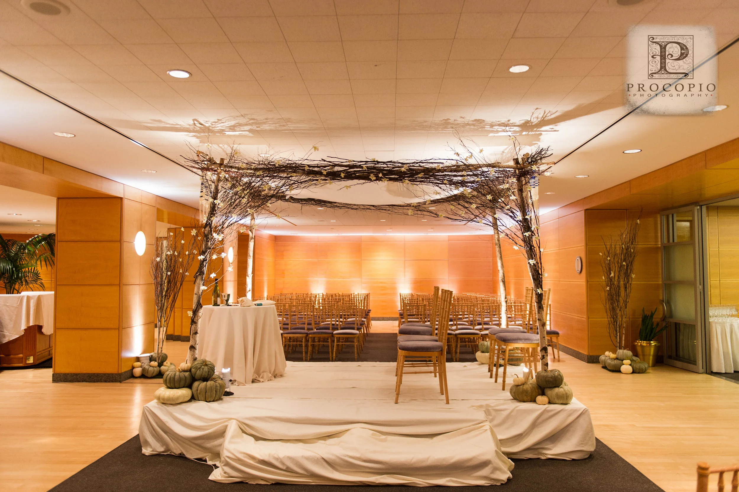 Pumpkins stacked around the base of the custom built birch chuppah and the base of the trees. 