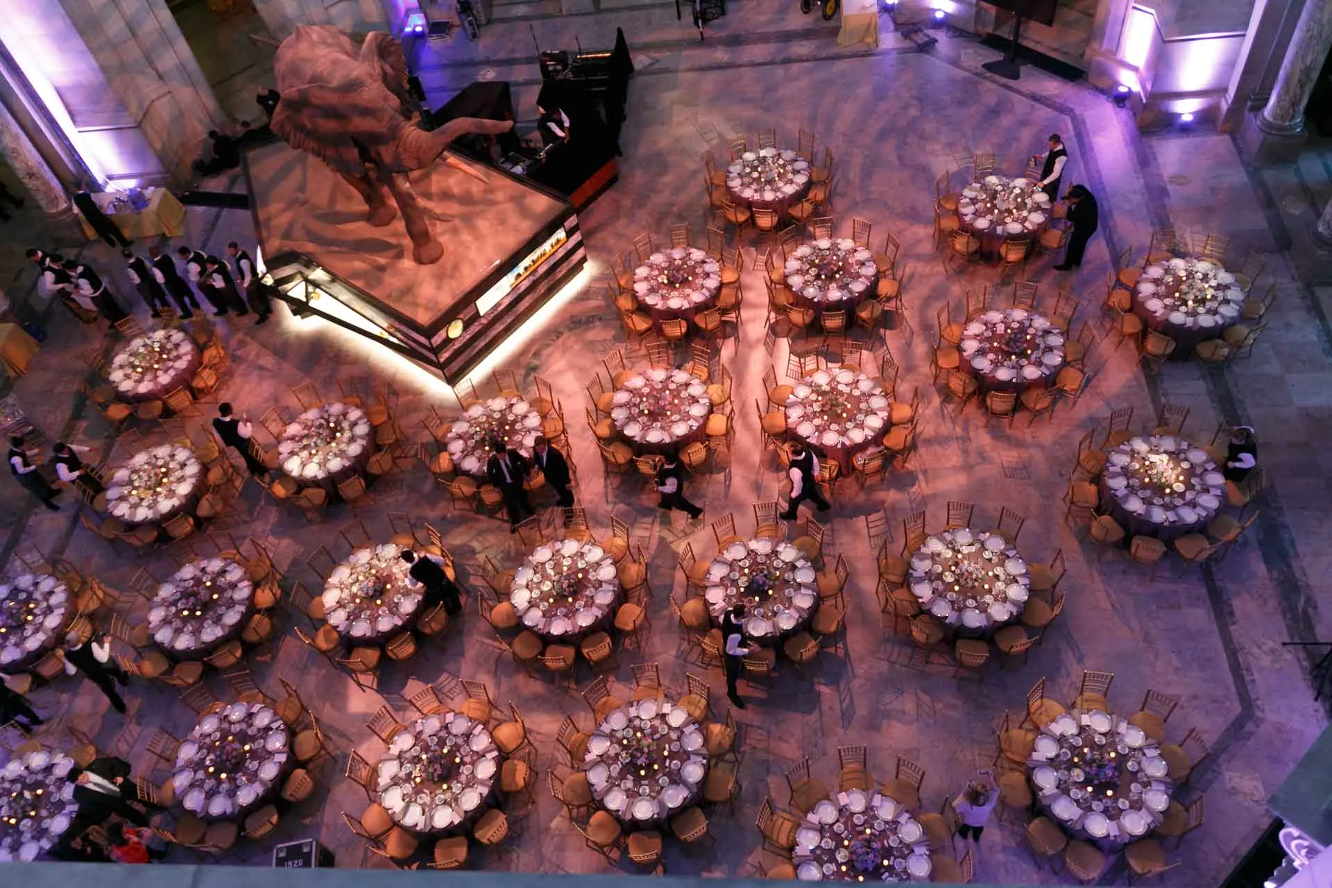 The Natural History Museum is one I frequent often. We have taken our kids, friends and visiting relatives too many times to count and it was so fun to see our designs set up around the iconic African elephant. Photo above and below by David Keith Photography