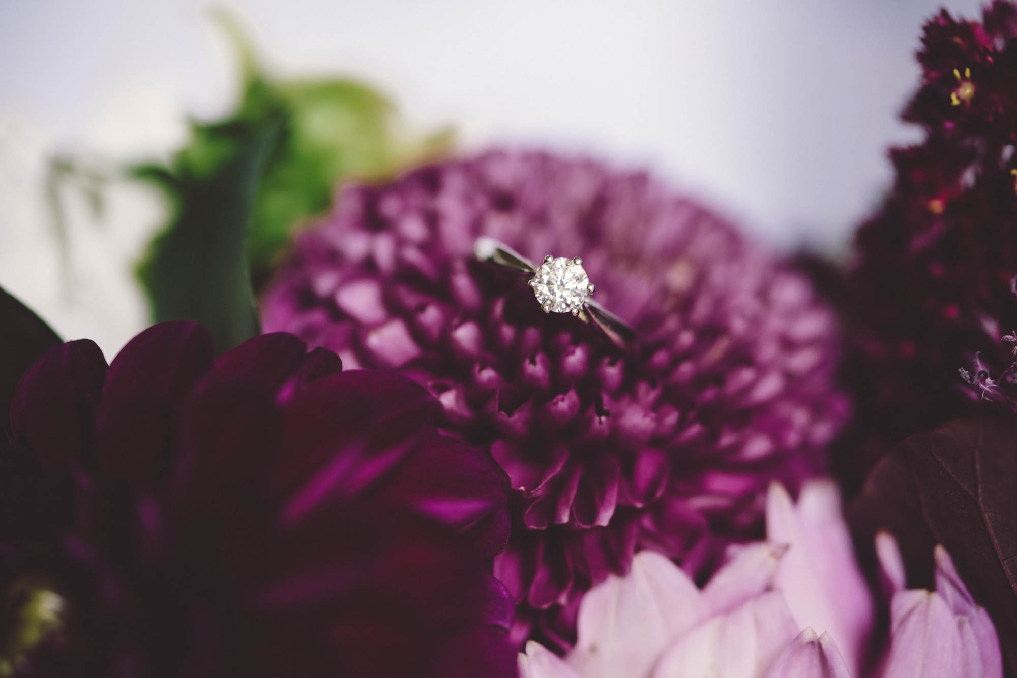 28_Alyce & Dan_MCOLES_MKC_6535.jpg
