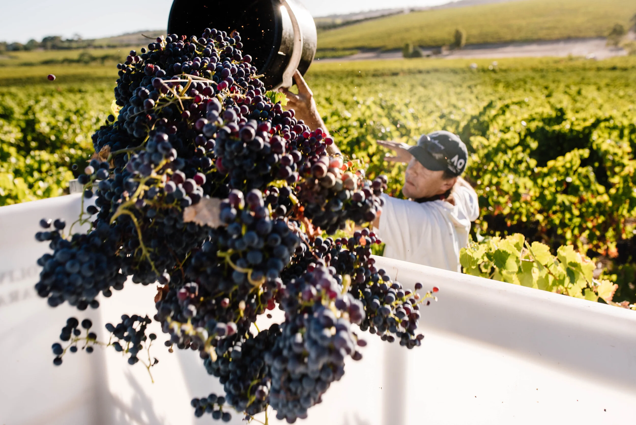 _001__MC17920_MEAGHANCOLES_March 14, 2019.jpg