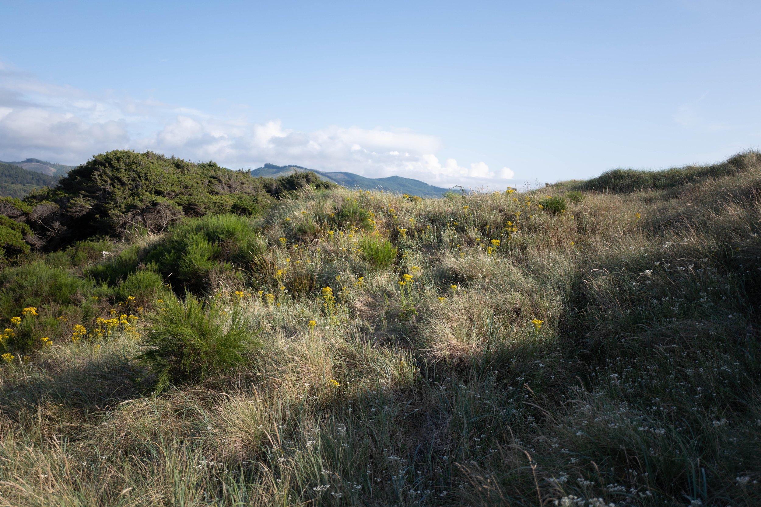 Nehelam Bay, OR USA, 2019