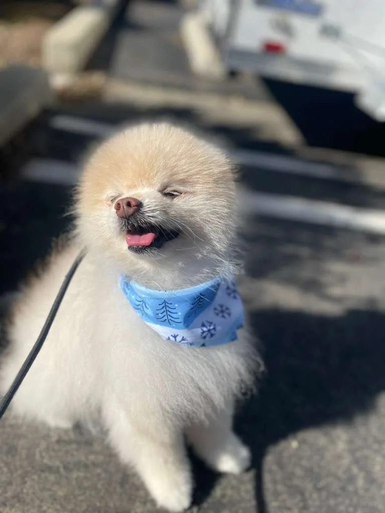 Cambridge 12.29.25 1.jpeg