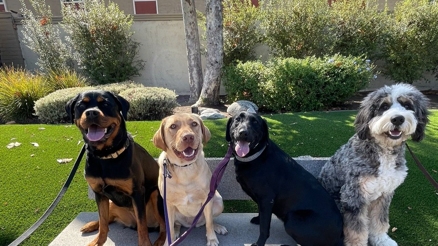 WhatsApp Image 2024-10-14 at 15.24.02_b0d23c83.jpg