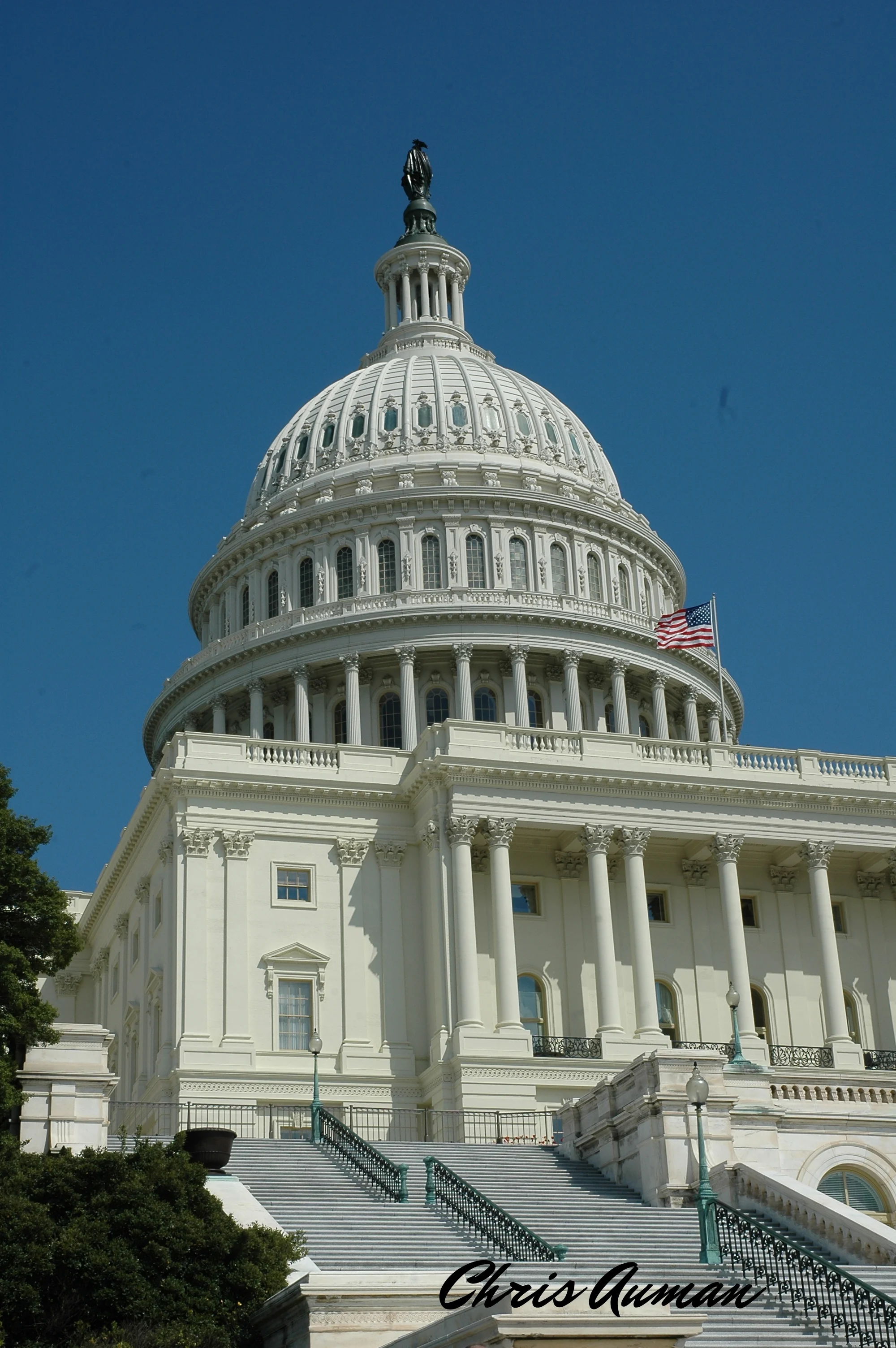 DC Spring 09 007.JPG