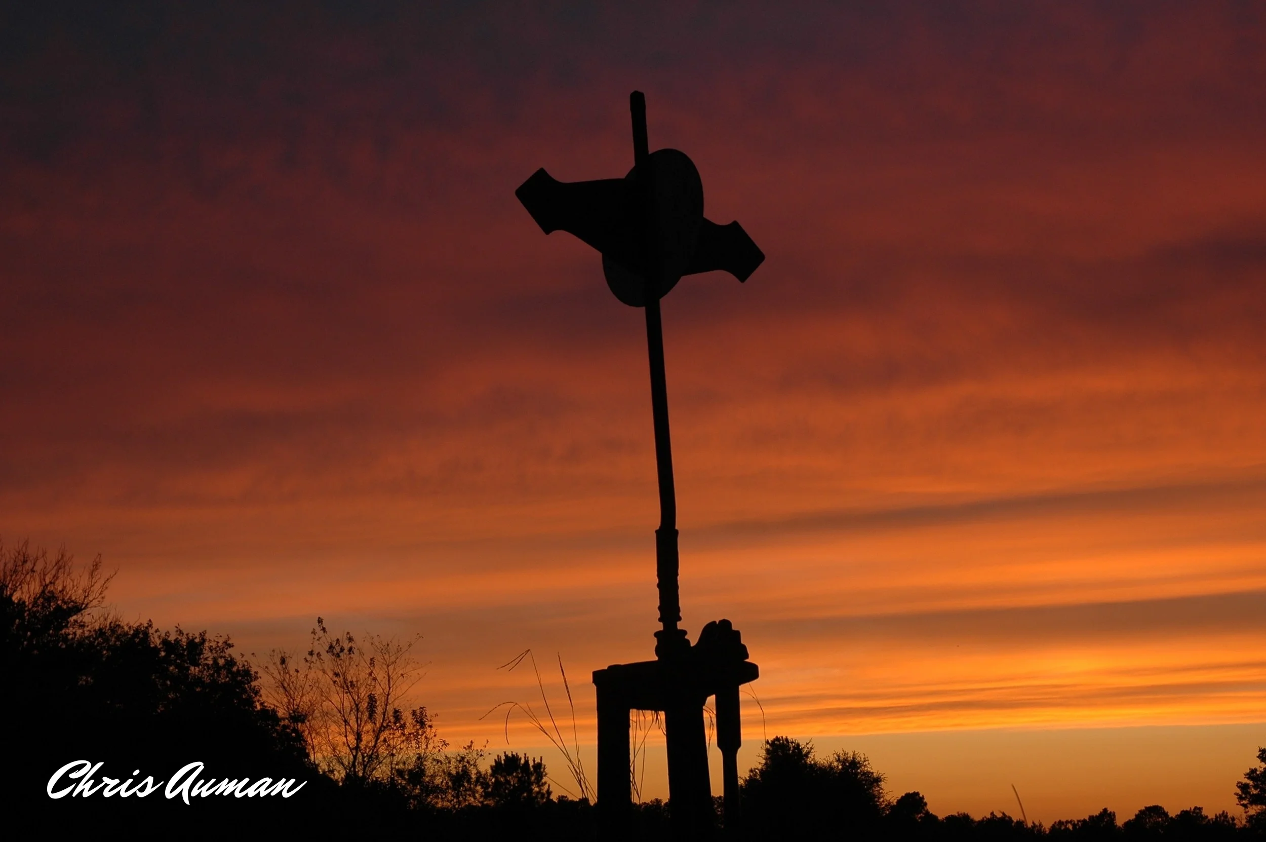 Late Sept 08 003.JPG