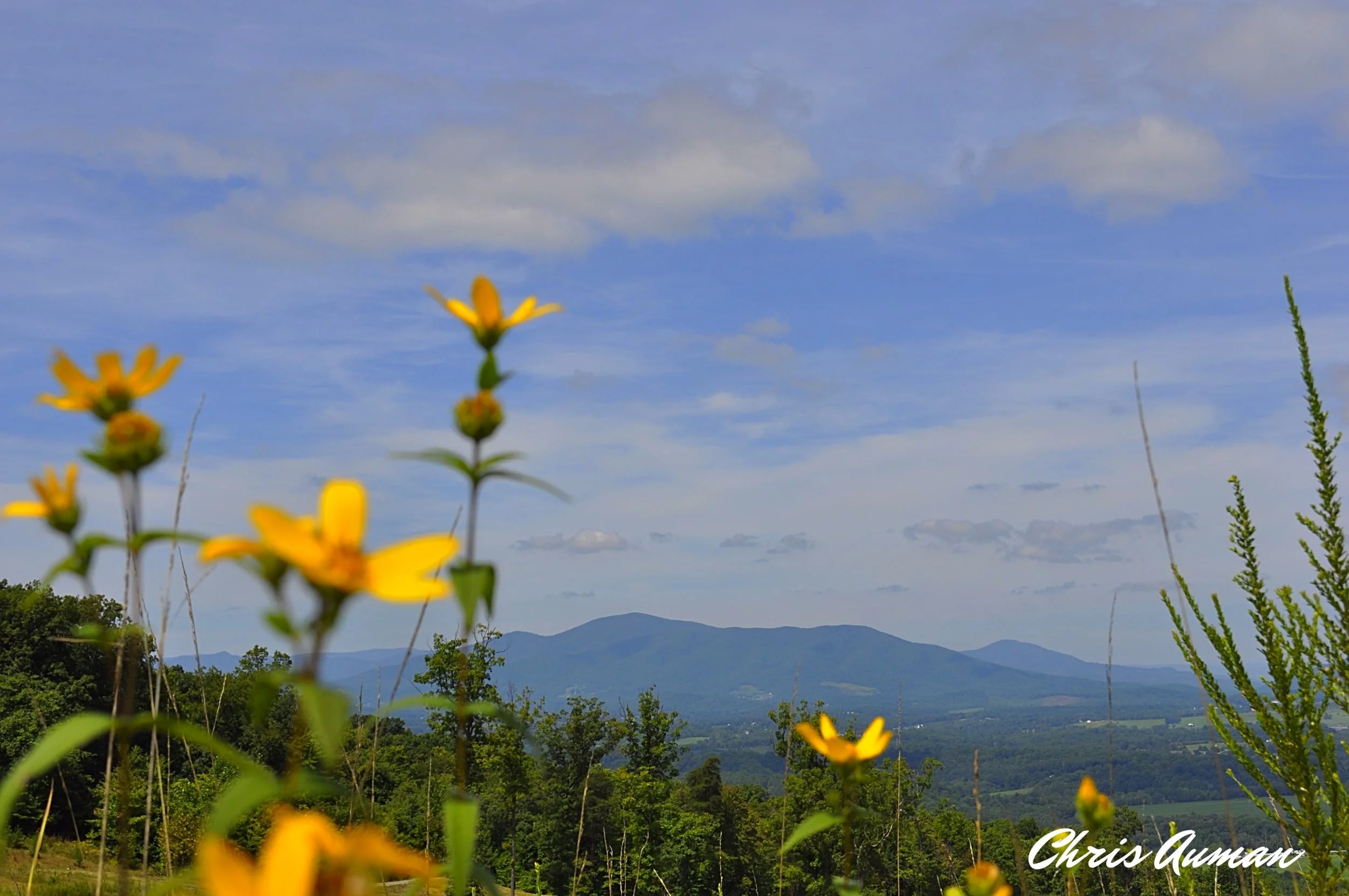 2014-08-26 12.56.26.jpg