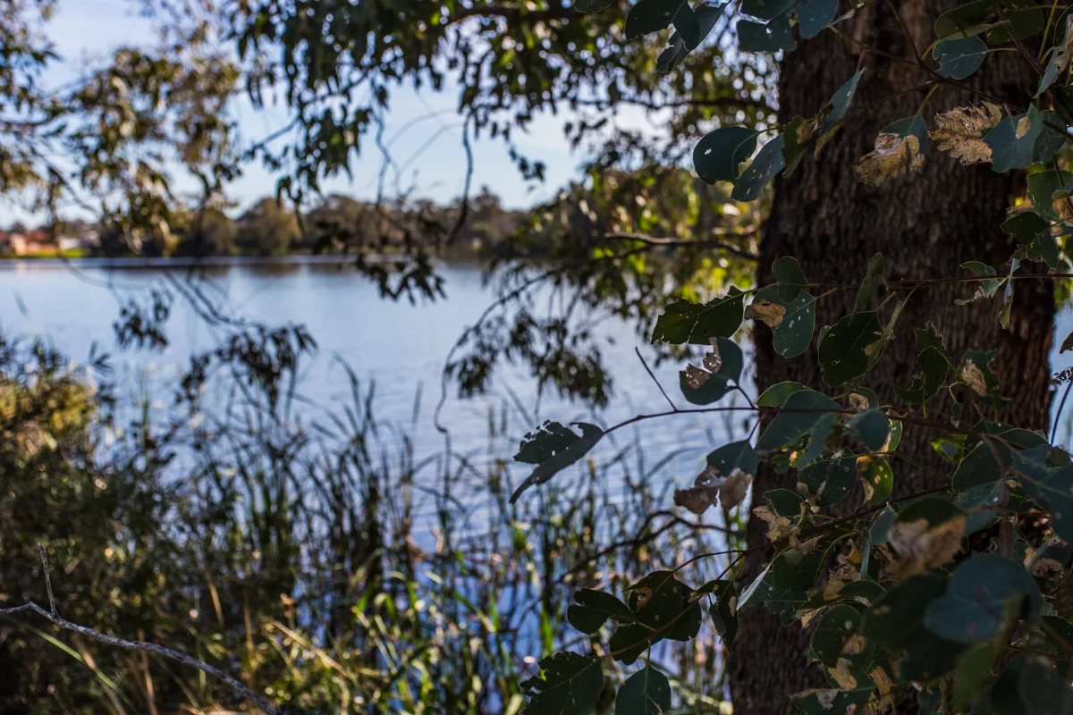 _MG_7855.jpg