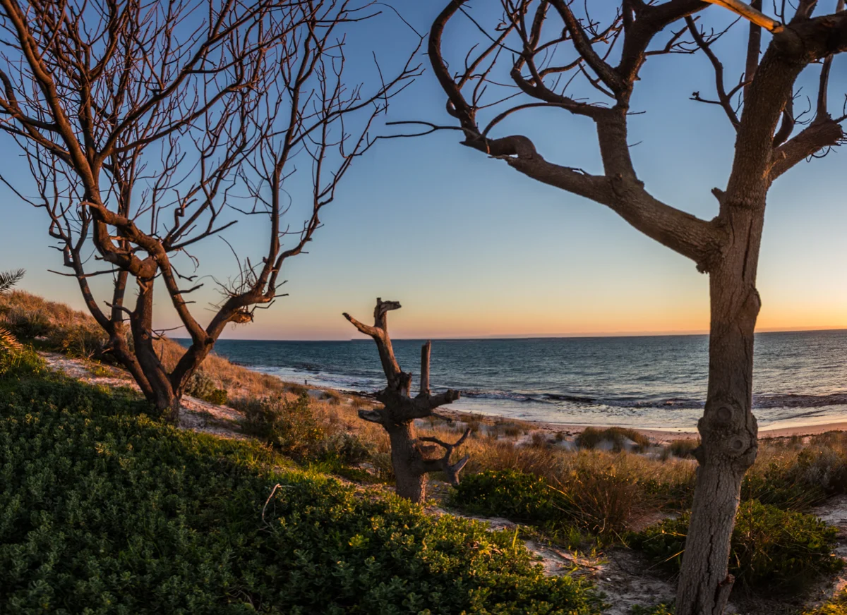 _MG_7878-Pano.jpg