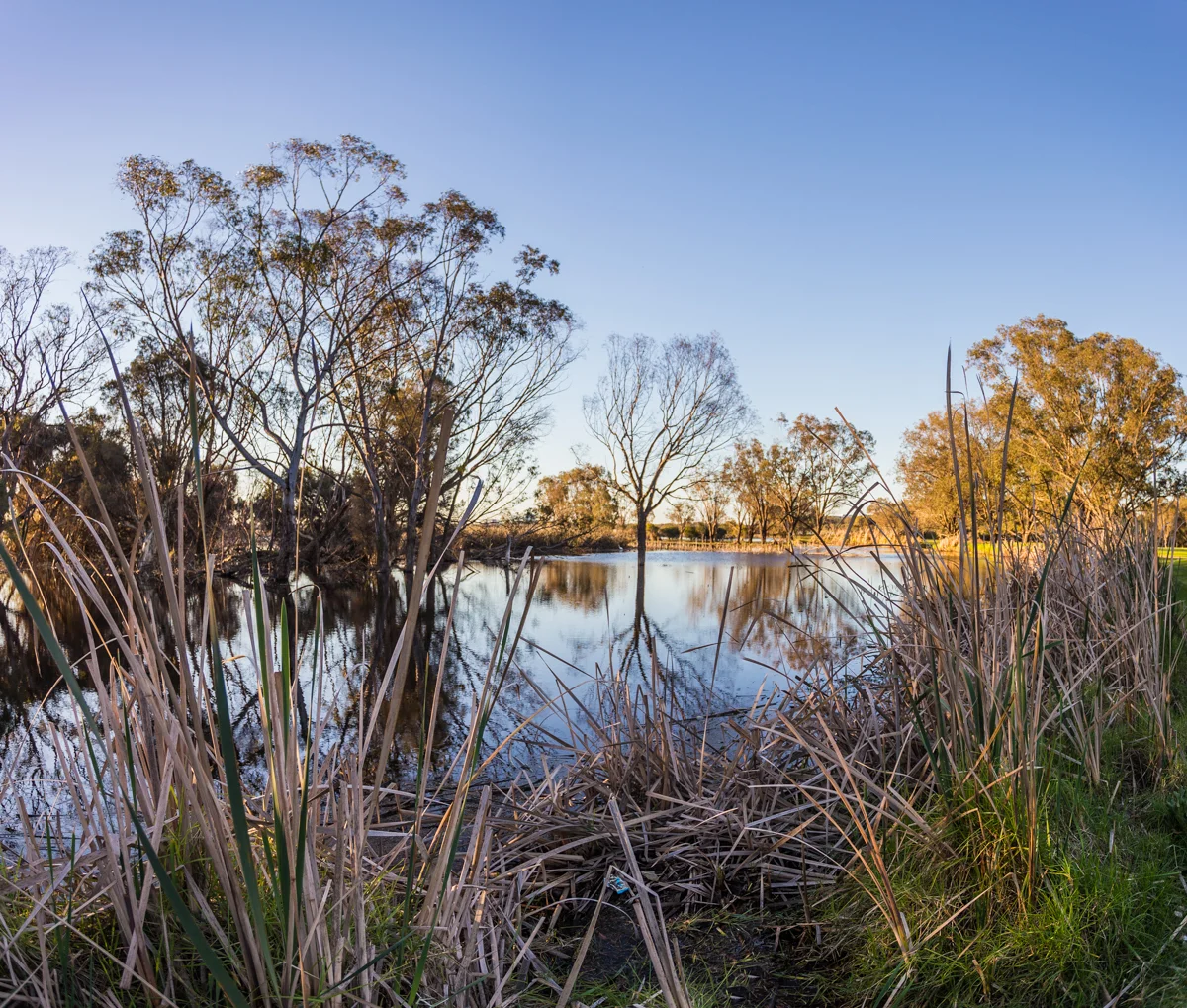_MG_7969-Pano.jpg