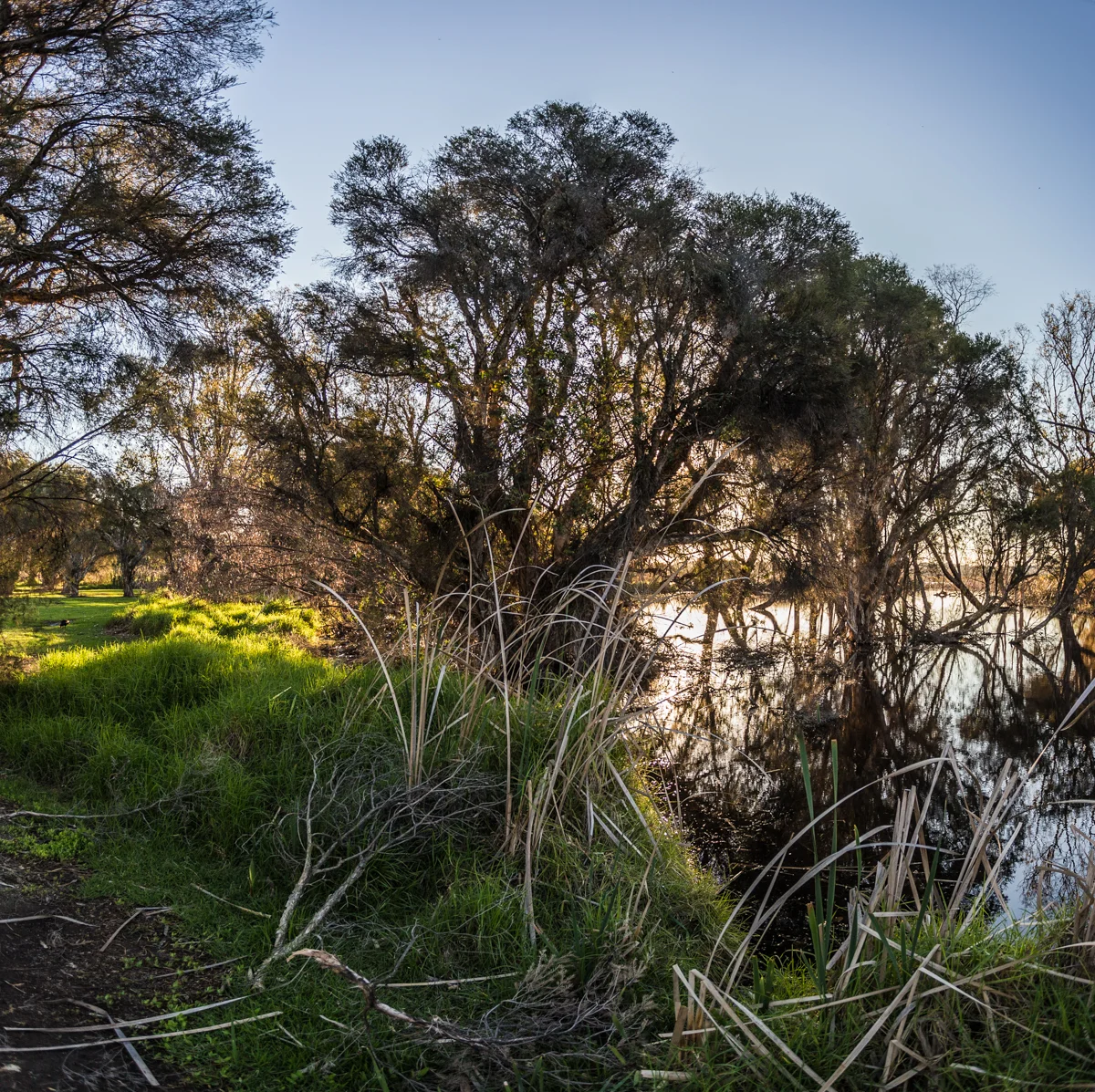 _MG_7976-Pano.jpg