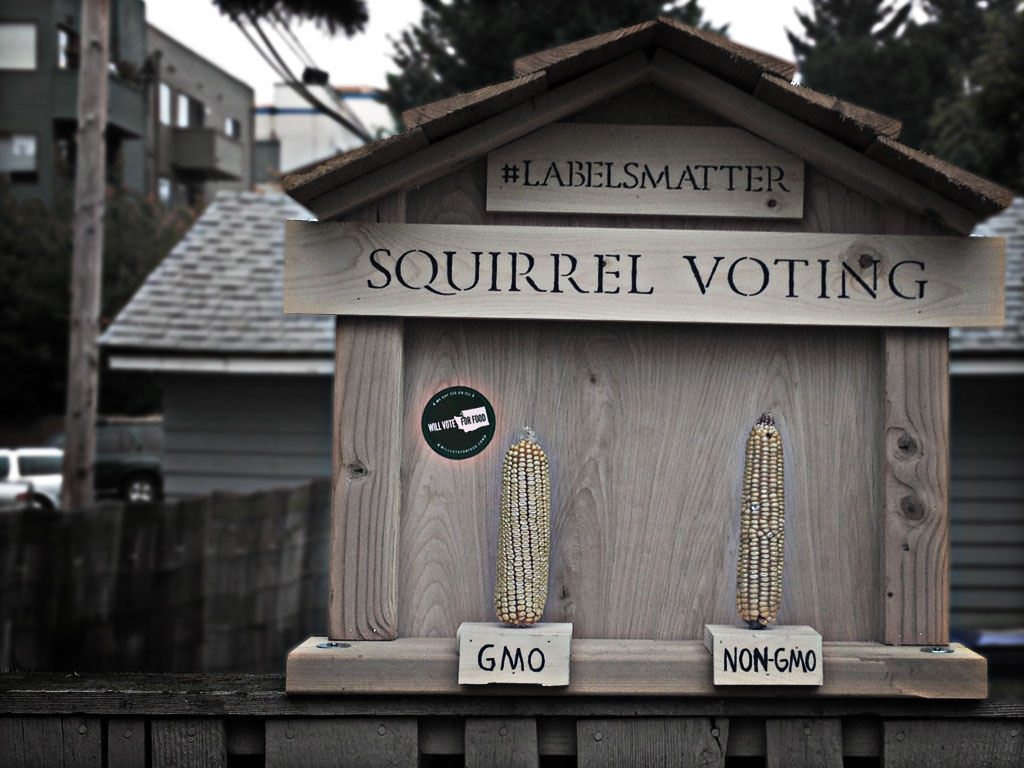 wvff_squirrelvotingbooth.jpg