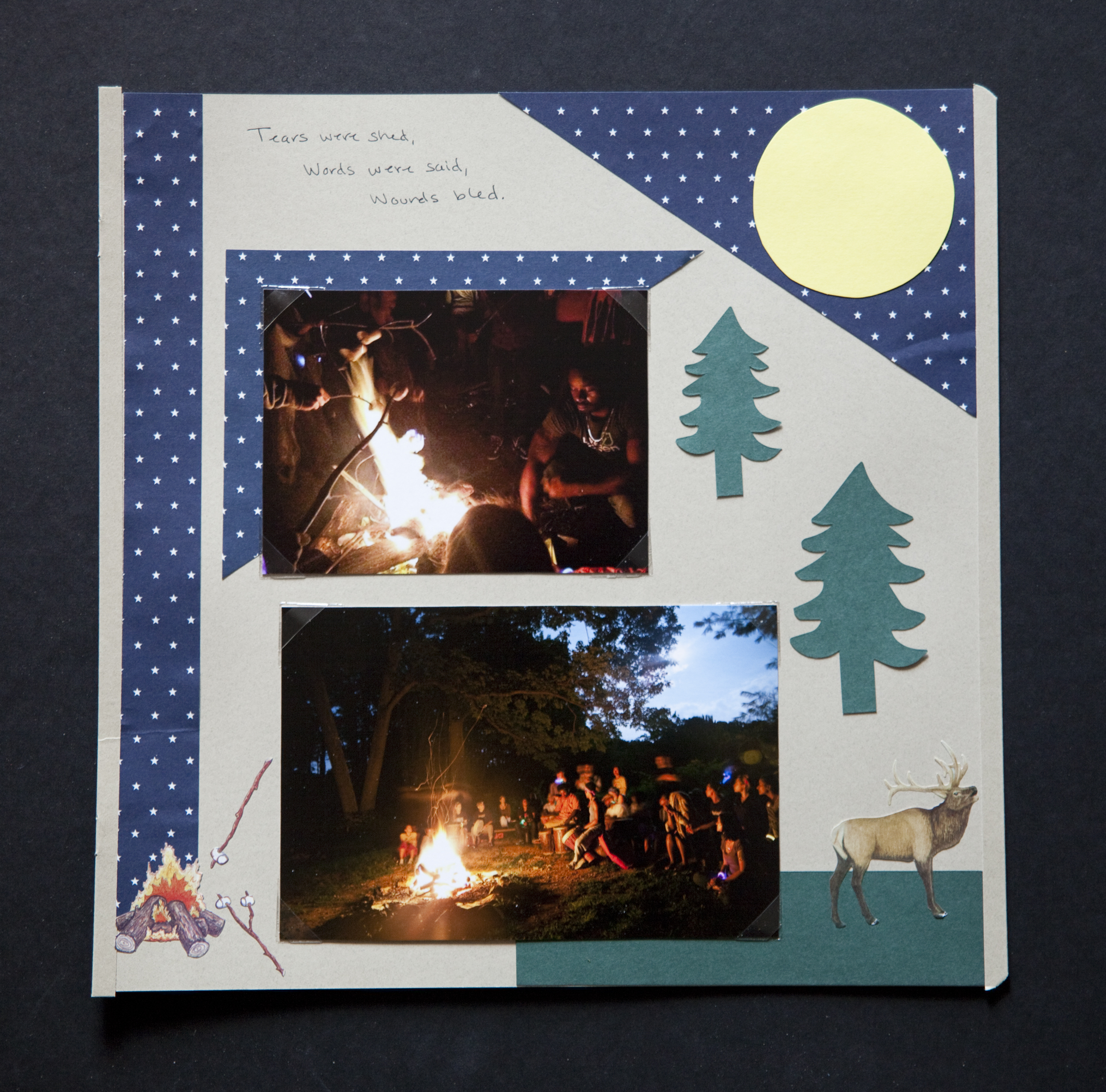 Text block- "Tears were shed, words were said, wounds bled."