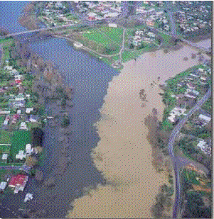 Sediment from the Waipa River changes the appearance of the water in the Waikato River when the rivers meet at Ngaruawahia. The Waikato River becomes increasingly turbid and the colour changes from green to brown. In the photo taken in the July 1998 floods it’s easy to see where the sediment laden Waipa River meets the Waikato River at Ngaruawahia.