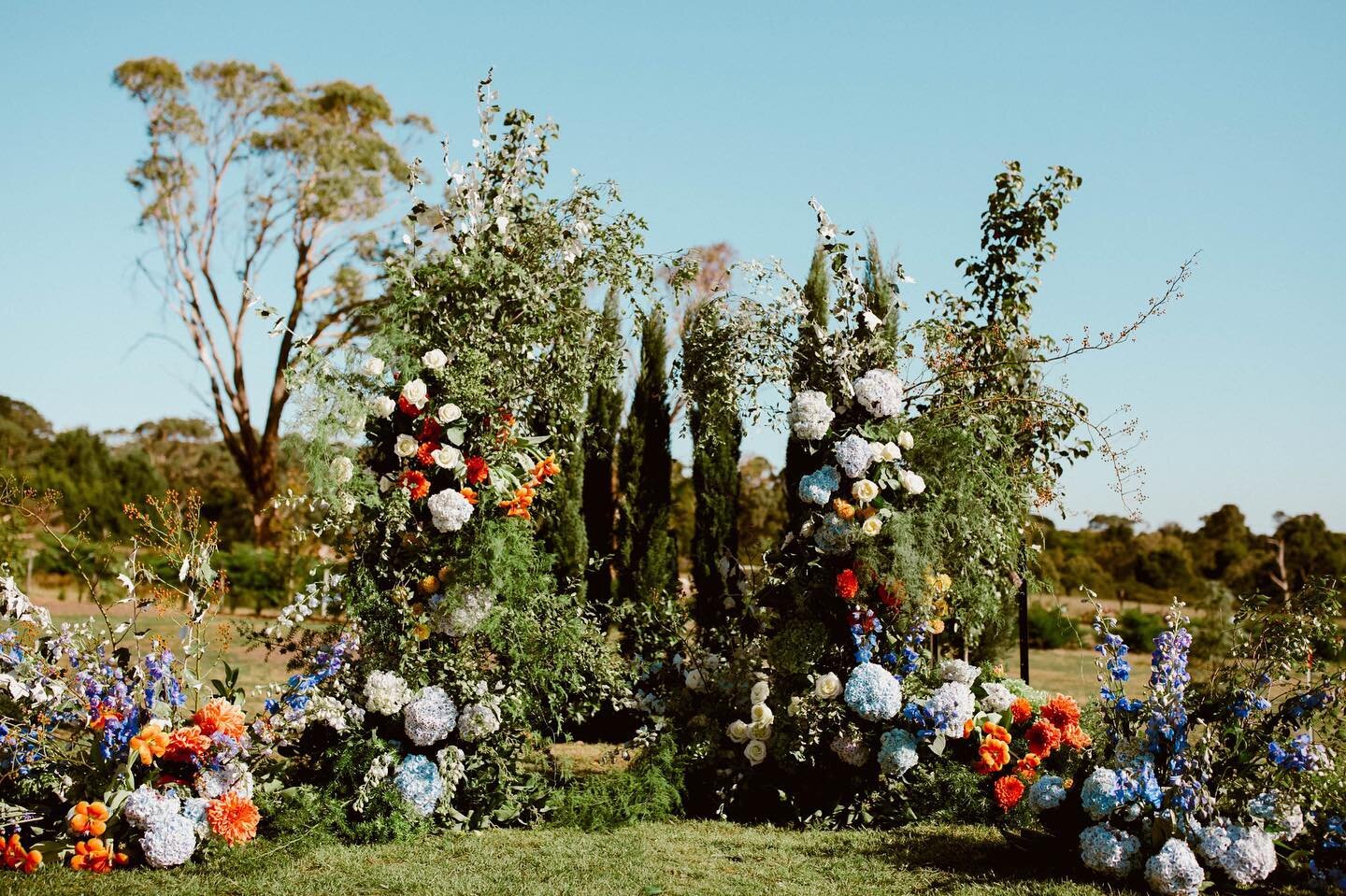 @the_petalproject secret garden magic. Installations like this make SUCH a difference to the atmosphere of your wedding - the stage is set 🧡🙌🏼✨