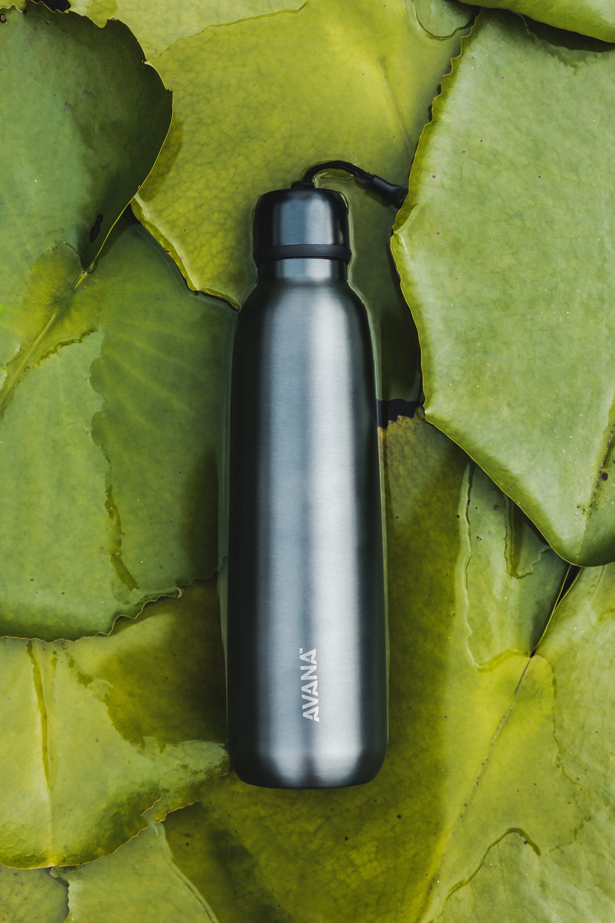 2019_07_09_Avana--8.jpg