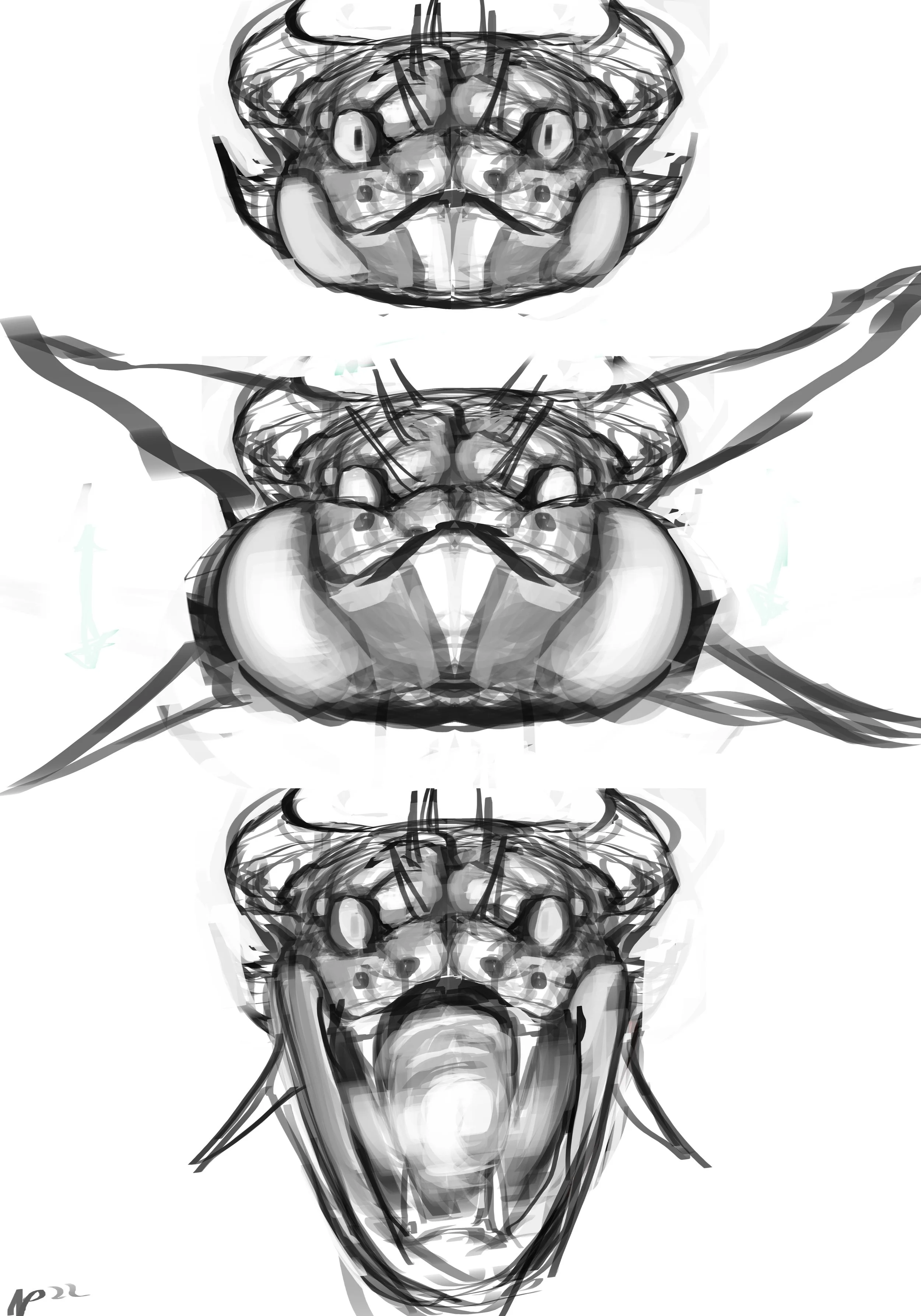 derpent face front.jpg