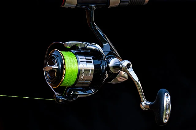 RD67444.jpg