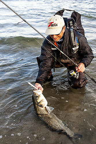 RD58029.jpg