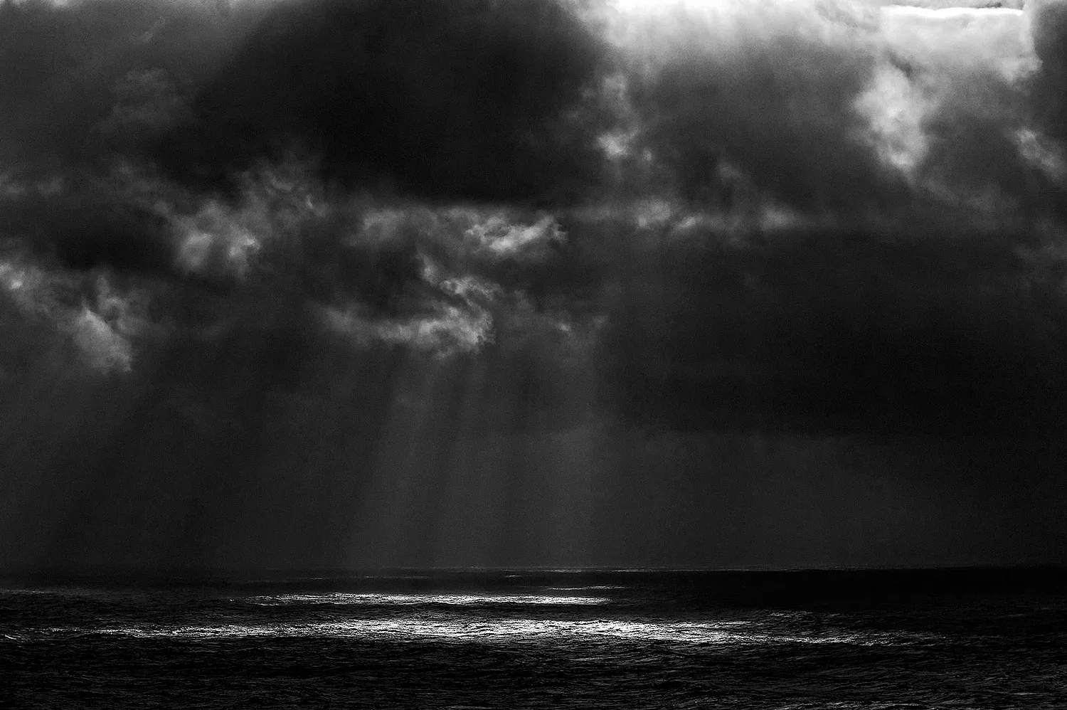 (R)Dbw0851 ©Henry Gilbey