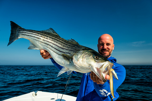 So you want to go and fish for striped bass in Cape Cod? — Henry Gilbey